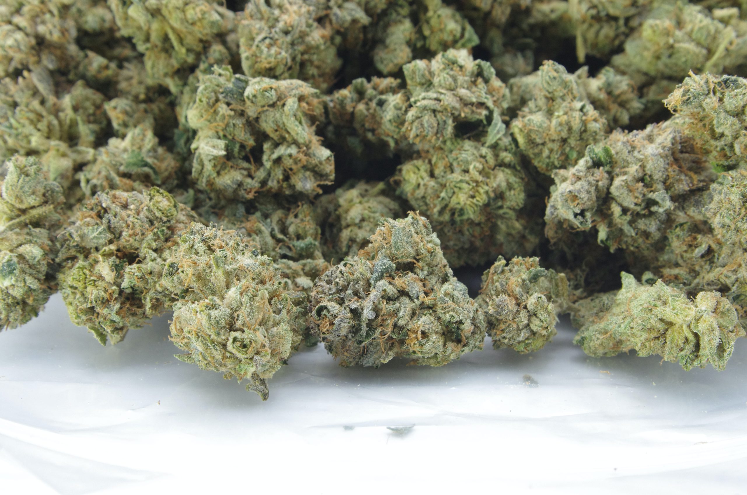 Triple Burger Oz Special Indica anti-anxiety Triple Burger Oz Special Indica anti-anxiety