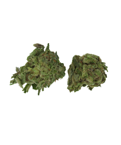 buy tuna og online