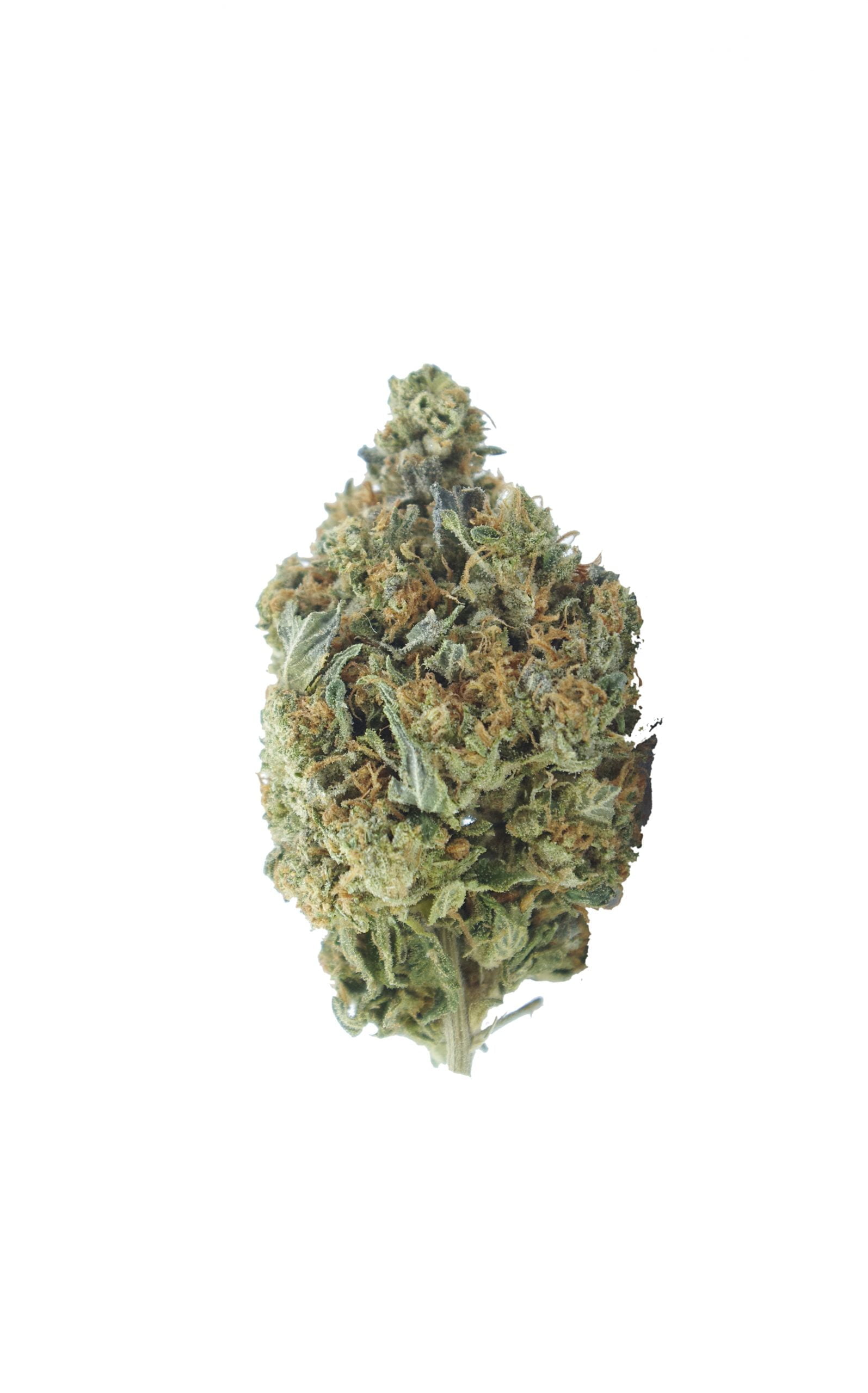 White Rhino Oz Special Hybrid anti-anxiety White Rhino Oz Special Hybrid anti-anxiety