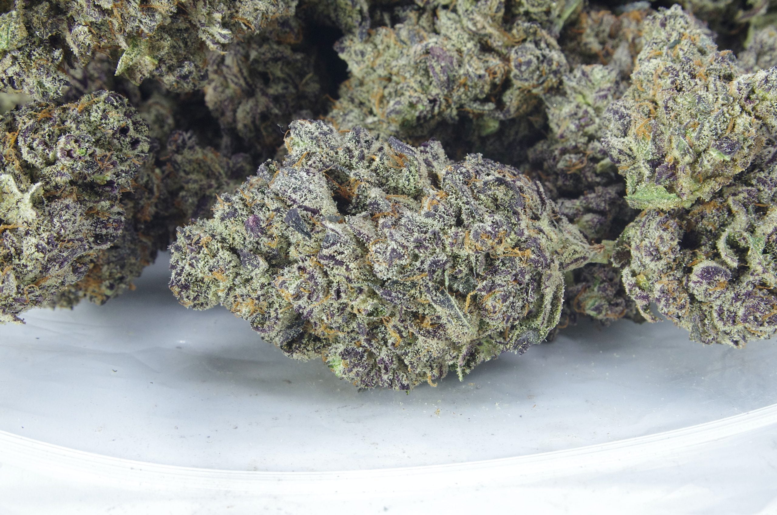 Black Truffle Oz Special Indica anti-anxiety Black Truffle Oz Special Indica anti-anxiety