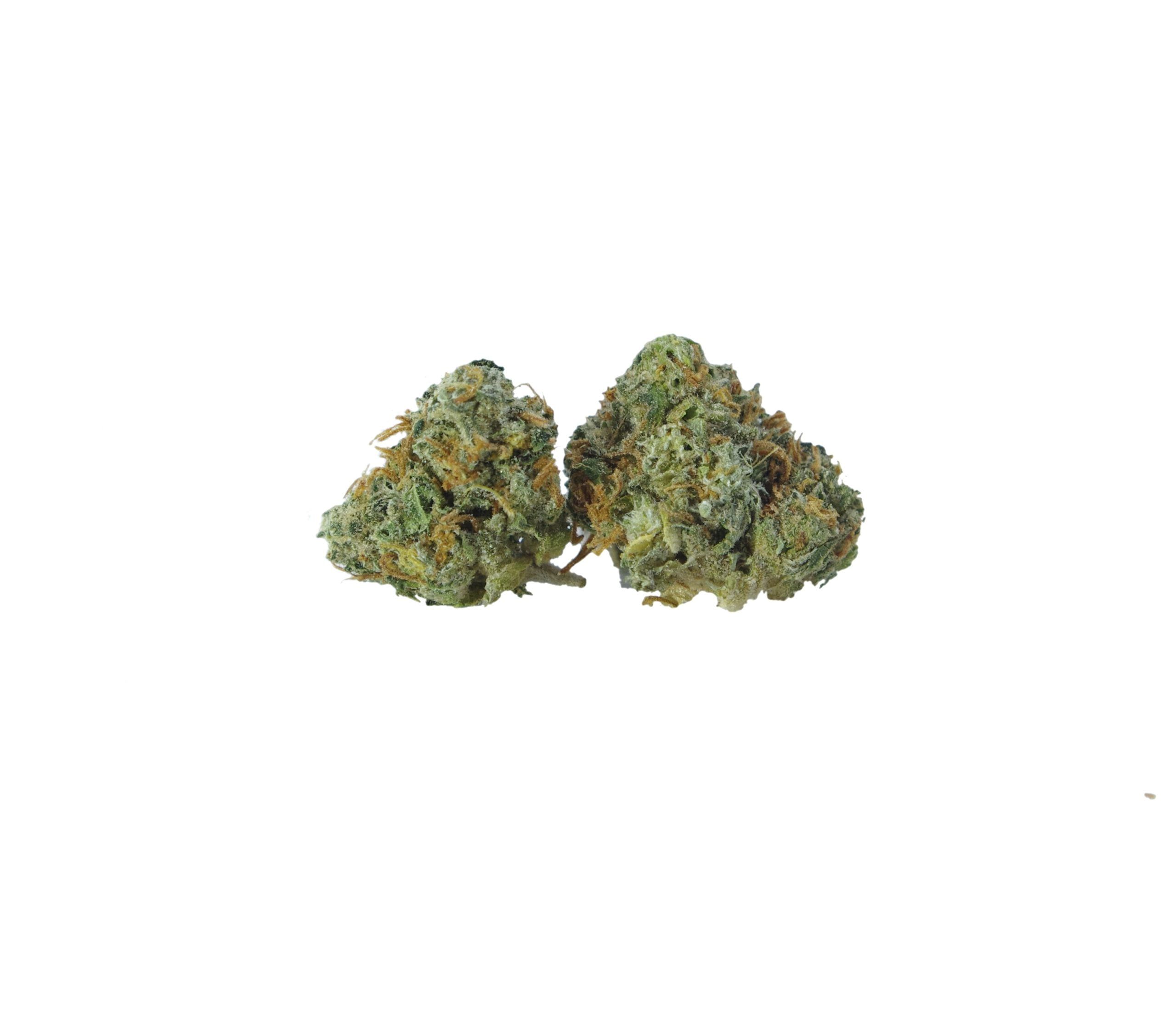 Watermelon Zkittles Smalls Oz Special Hybrid anti-anxiety Watermelon Zkittles Smalls Oz Special Hybrid anti-anxiety