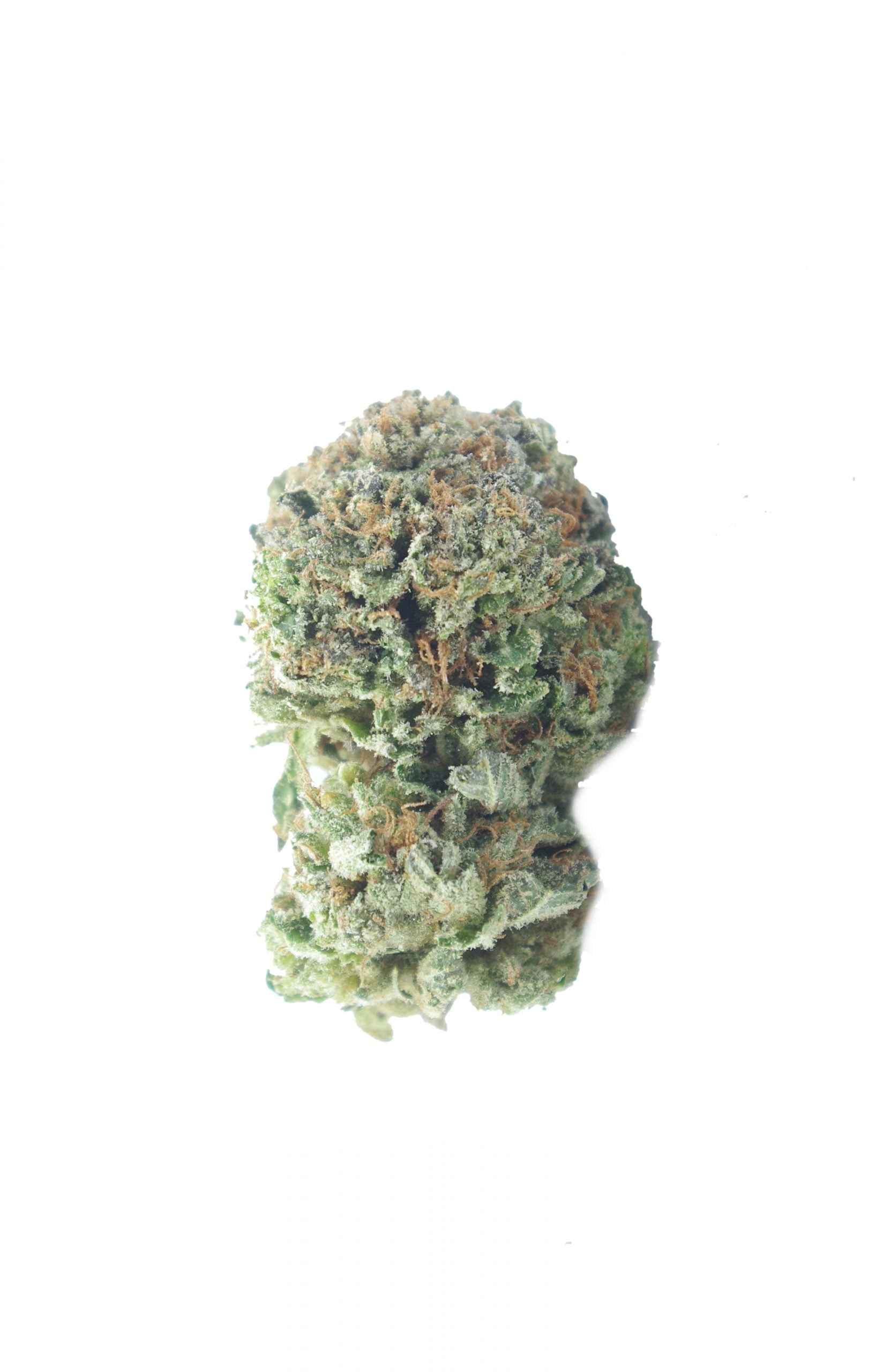 Afghani Kush Oz Special Indica Afghani Kush Oz Special Indica