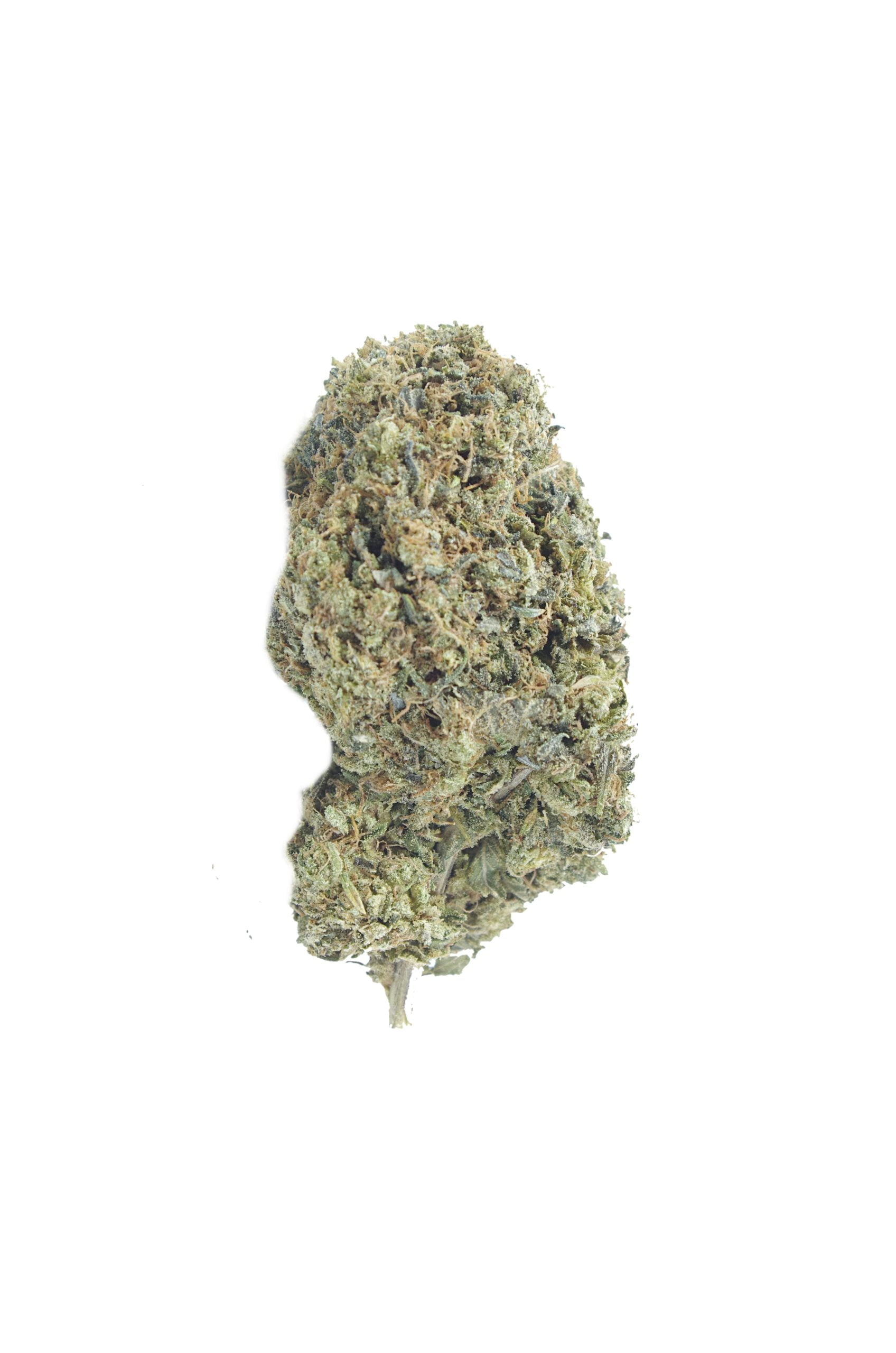 Astro Pink Oz Special Indica anti-anxiety Astro Pink Oz Special Indica anti-anxiety