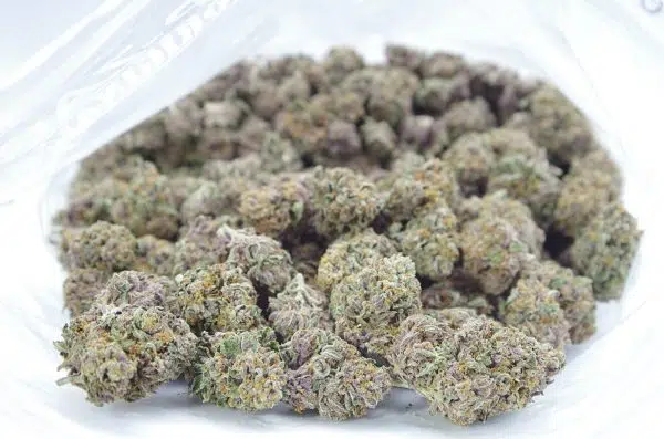 Northern Lights Oz Special Indica anti-anxiety Northern Lights Oz Special Indica anti-anxiety