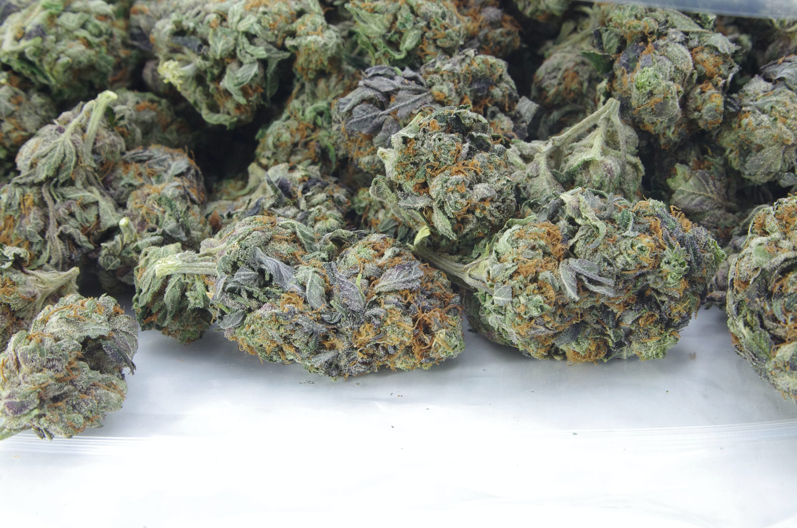 Black Death Oz Special Indica anti-anxiety Black Death Oz Special Indica anti-anxiety