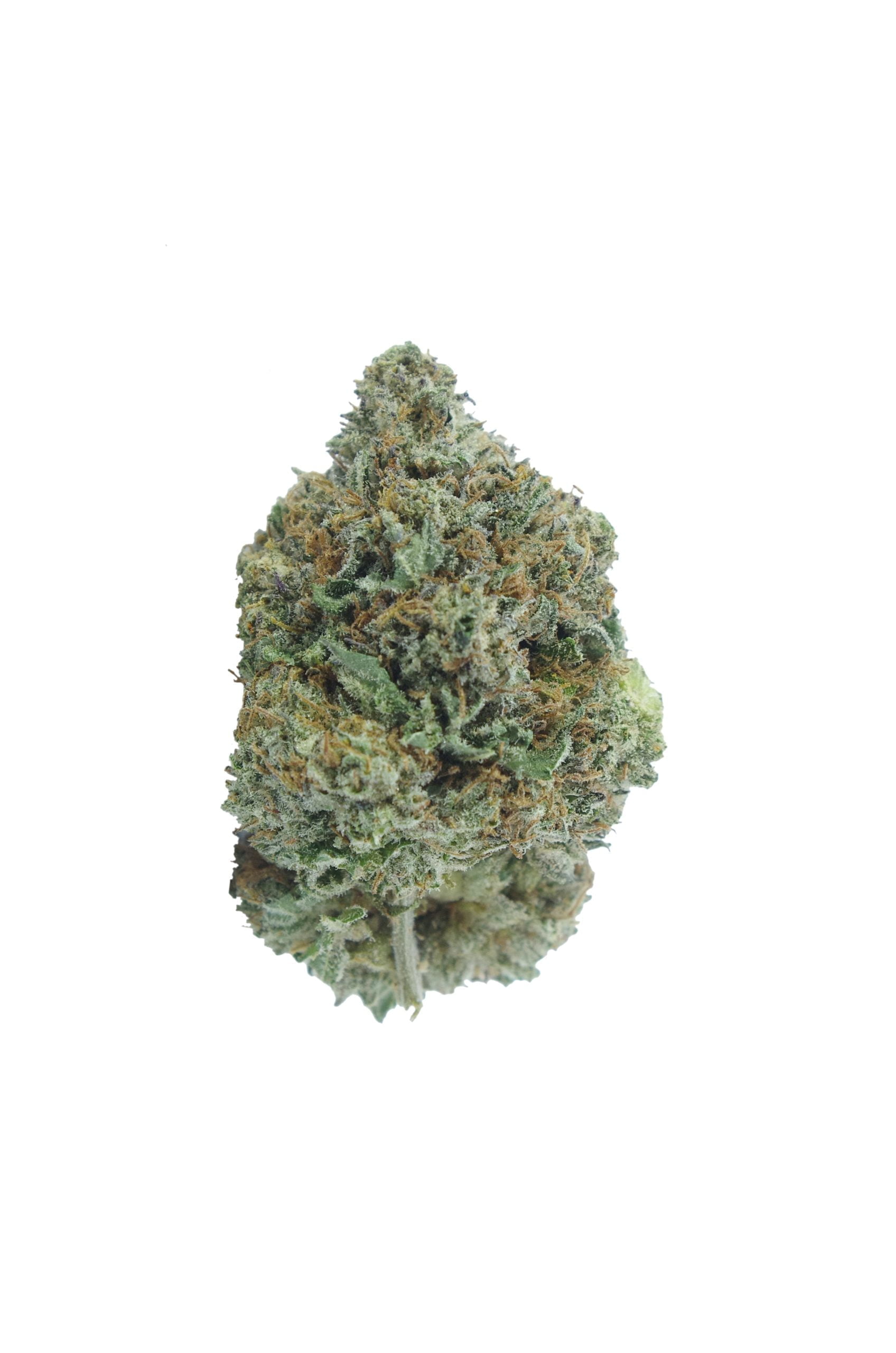 Black Diamond Oz Special Indica Black Diamond Oz Special Indica