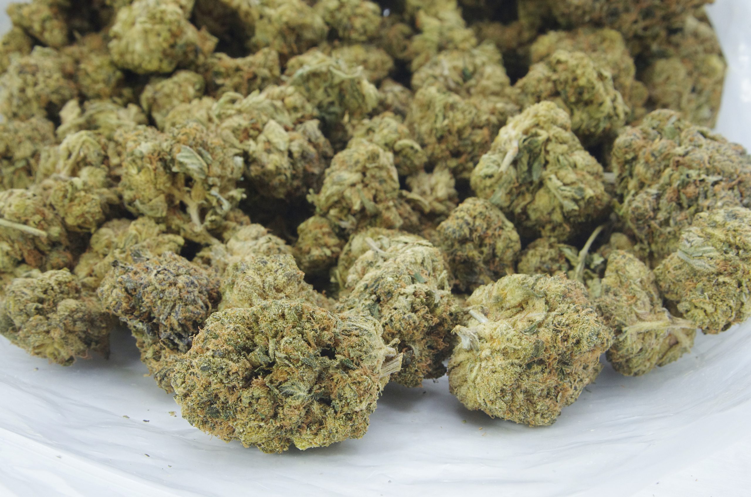 Black Tuna Oz Special Indica anti-anxiety Black Tuna Oz Special Indica anti-anxiety