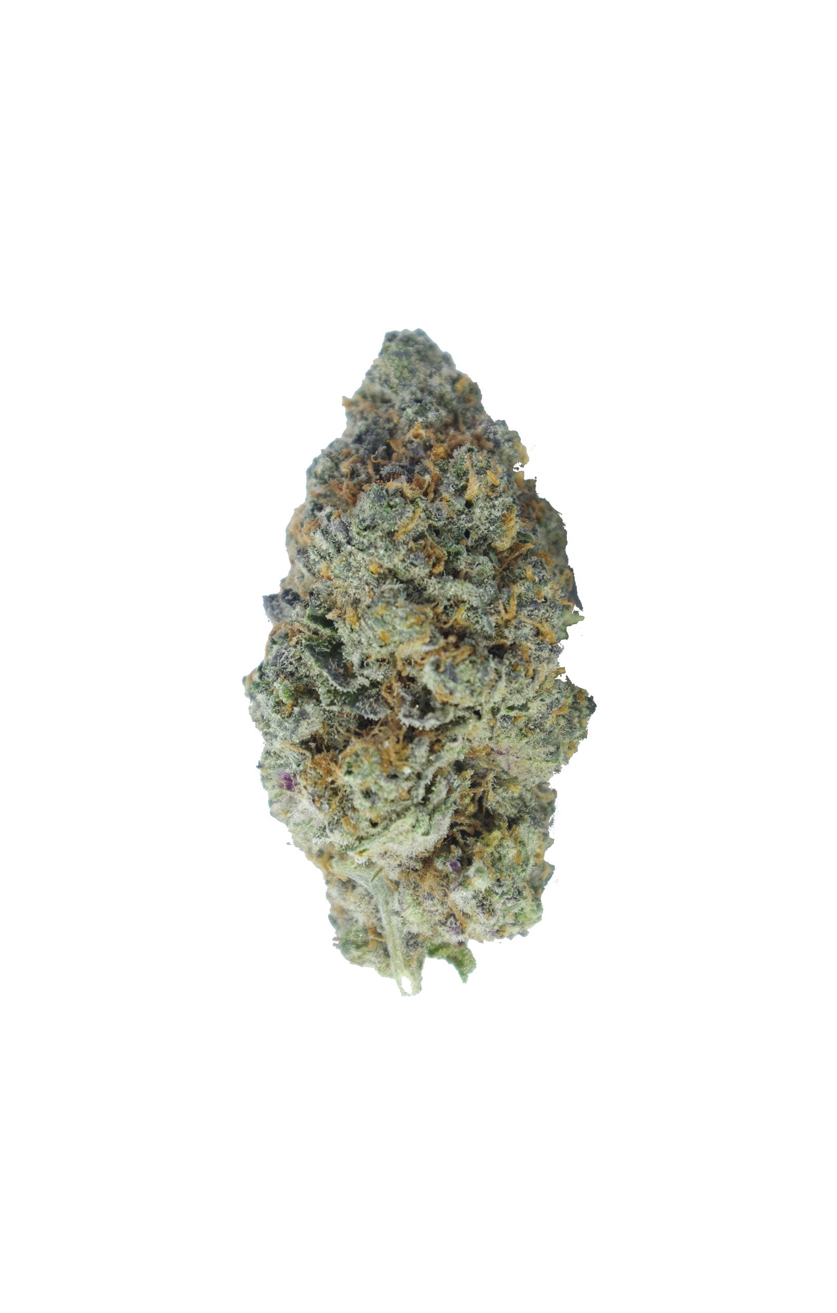 Blue Cheese Oz Special Hybrid anti-anxiety Blue Cheese Oz Special Hybrid anti-anxiety