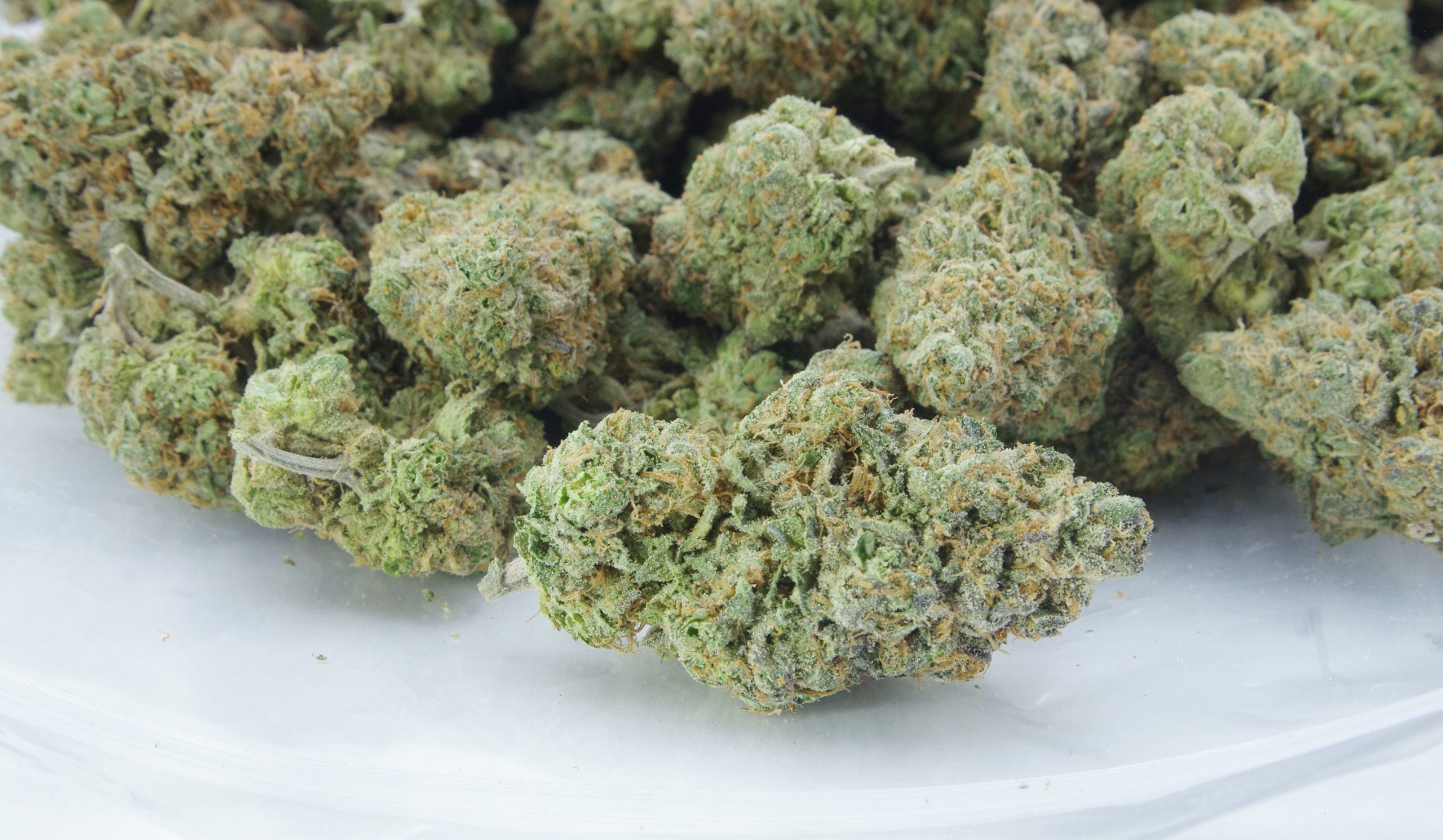 Blueberry Headband Oz Special Hybrid anti-anxiety Blueberry Headband Oz Special Hybrid anti-anxiety