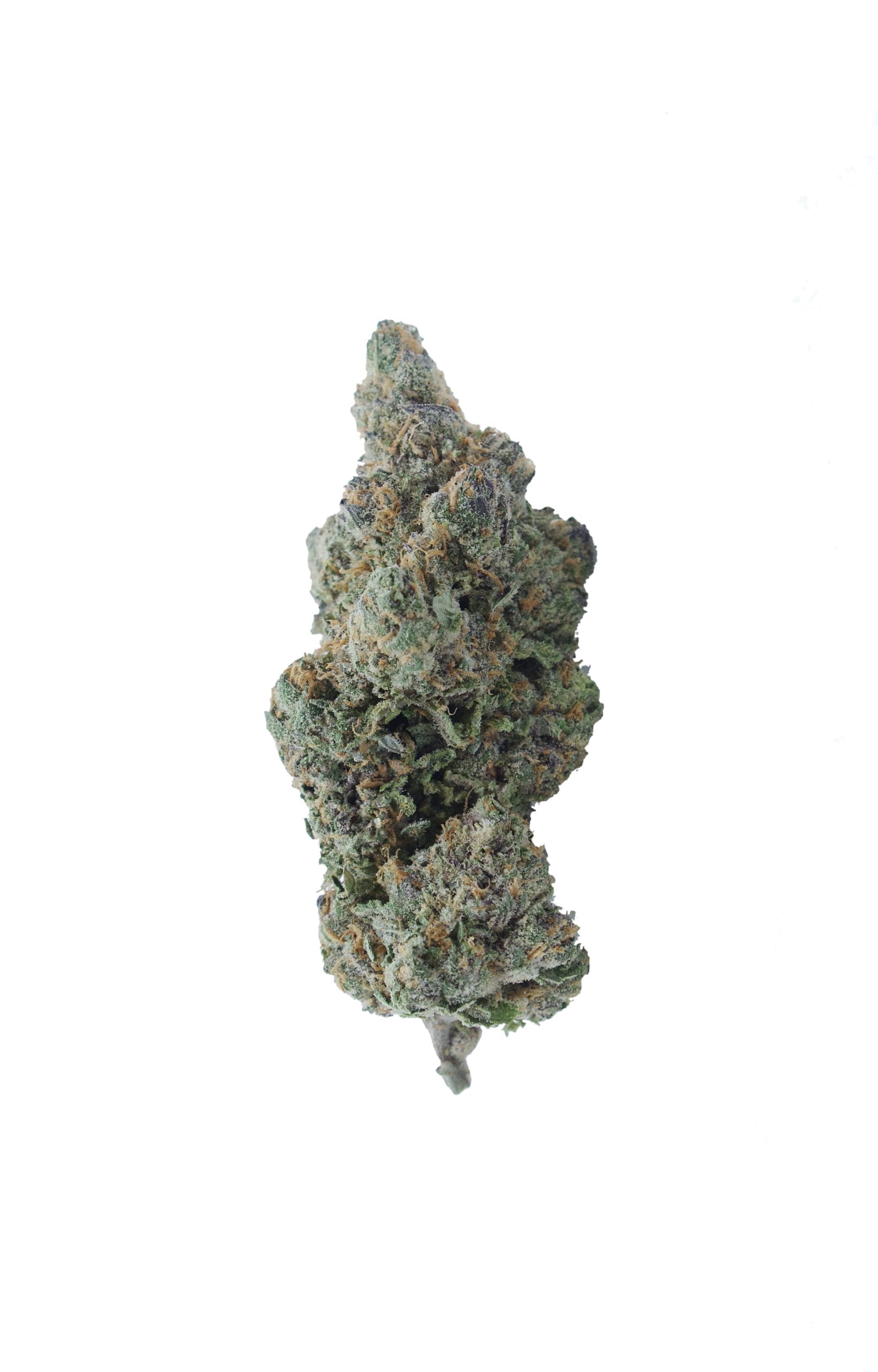 Blueberry Headband Oz Special Hybrid anti-anxiety Blueberry Headband Oz Special Hybrid anti-anxiety