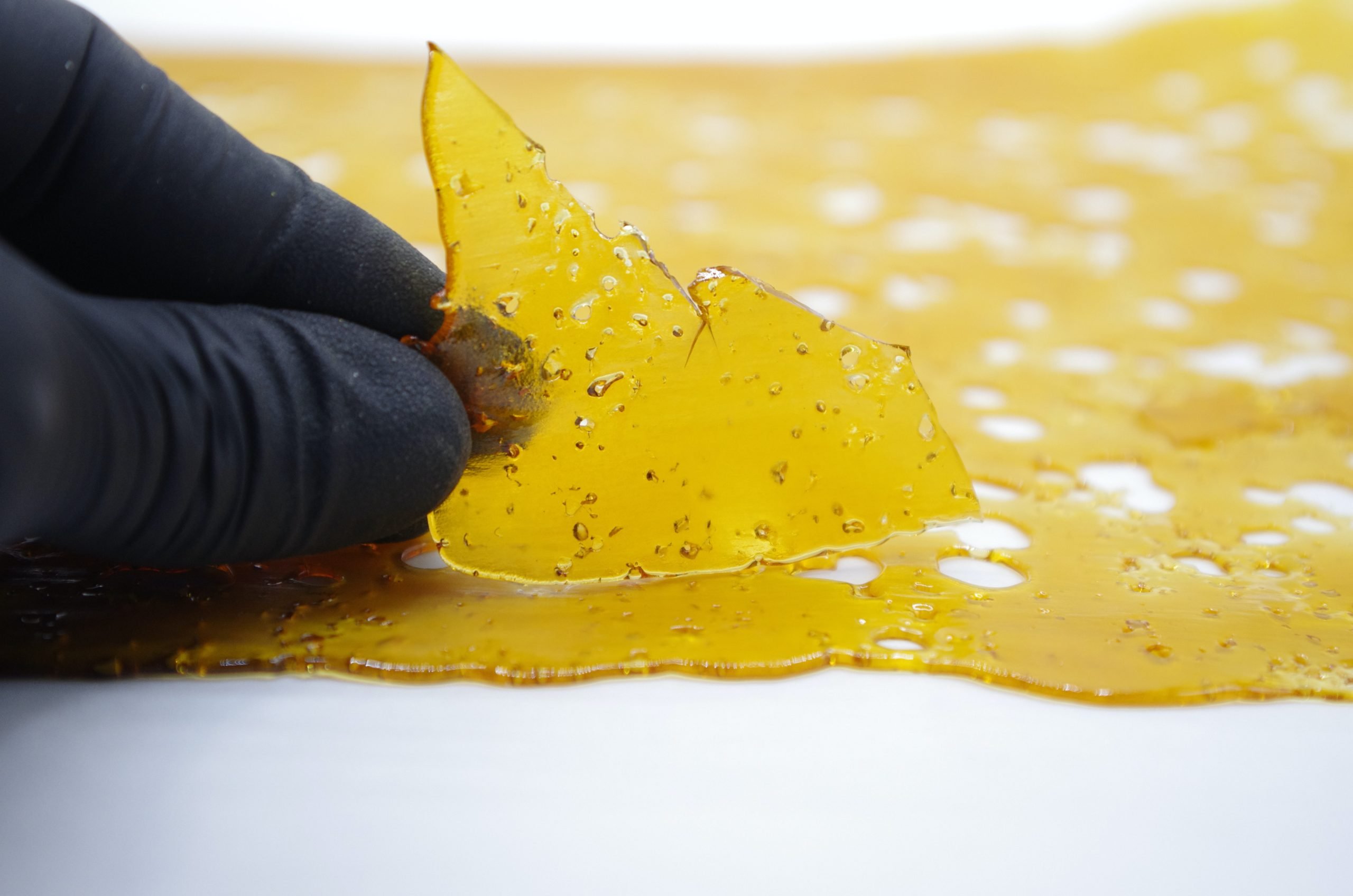 Blueberry OG Shatter Shatter Blueberry OG Shatter Shatter