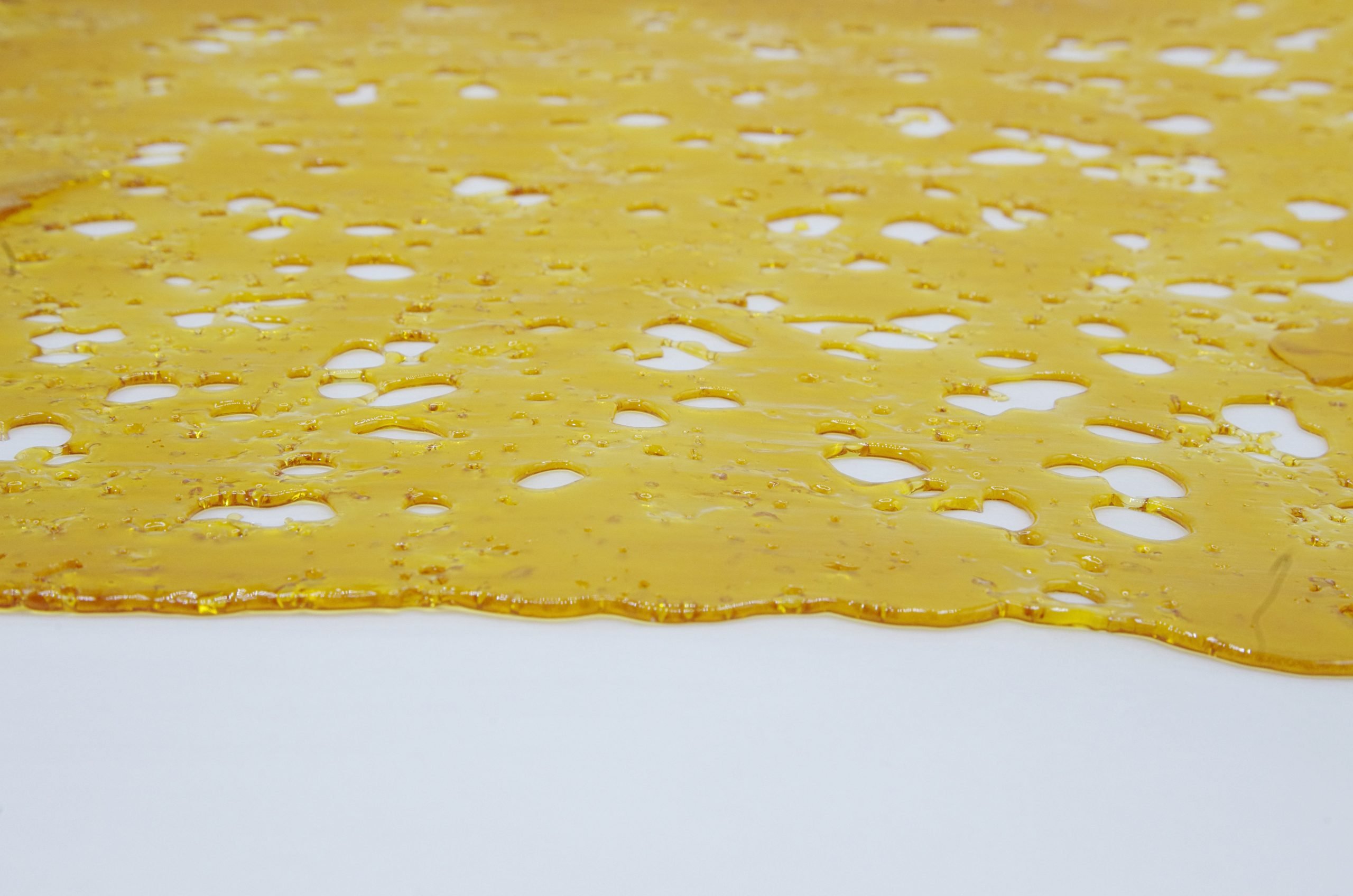 Blueberry OG Shatter Shatter Blueberry OG Shatter Shatter