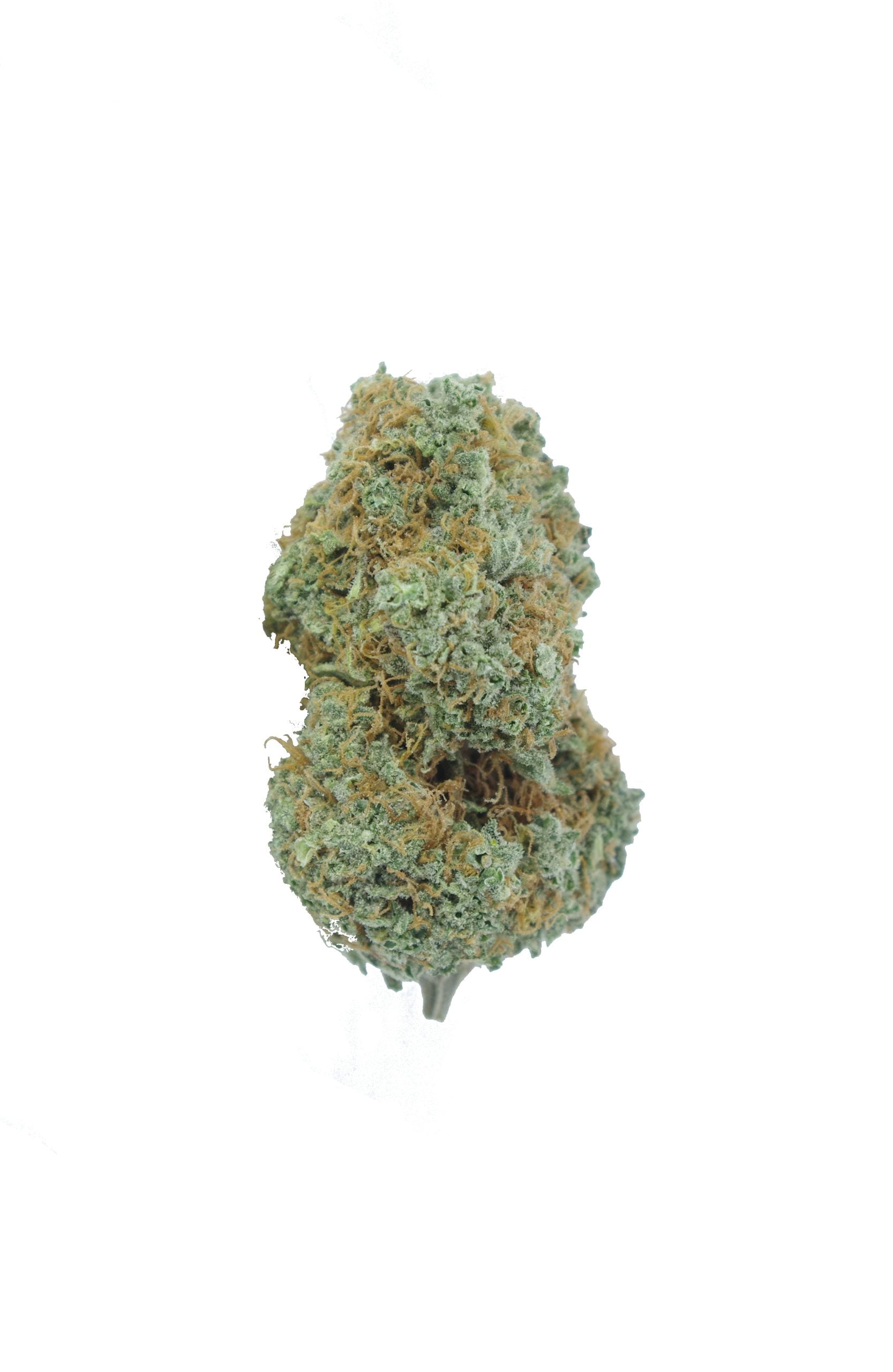 Canalope Haze Oz Special Hybrid anti-anxiety Canalope Haze Oz Special Hybrid anti-anxiety