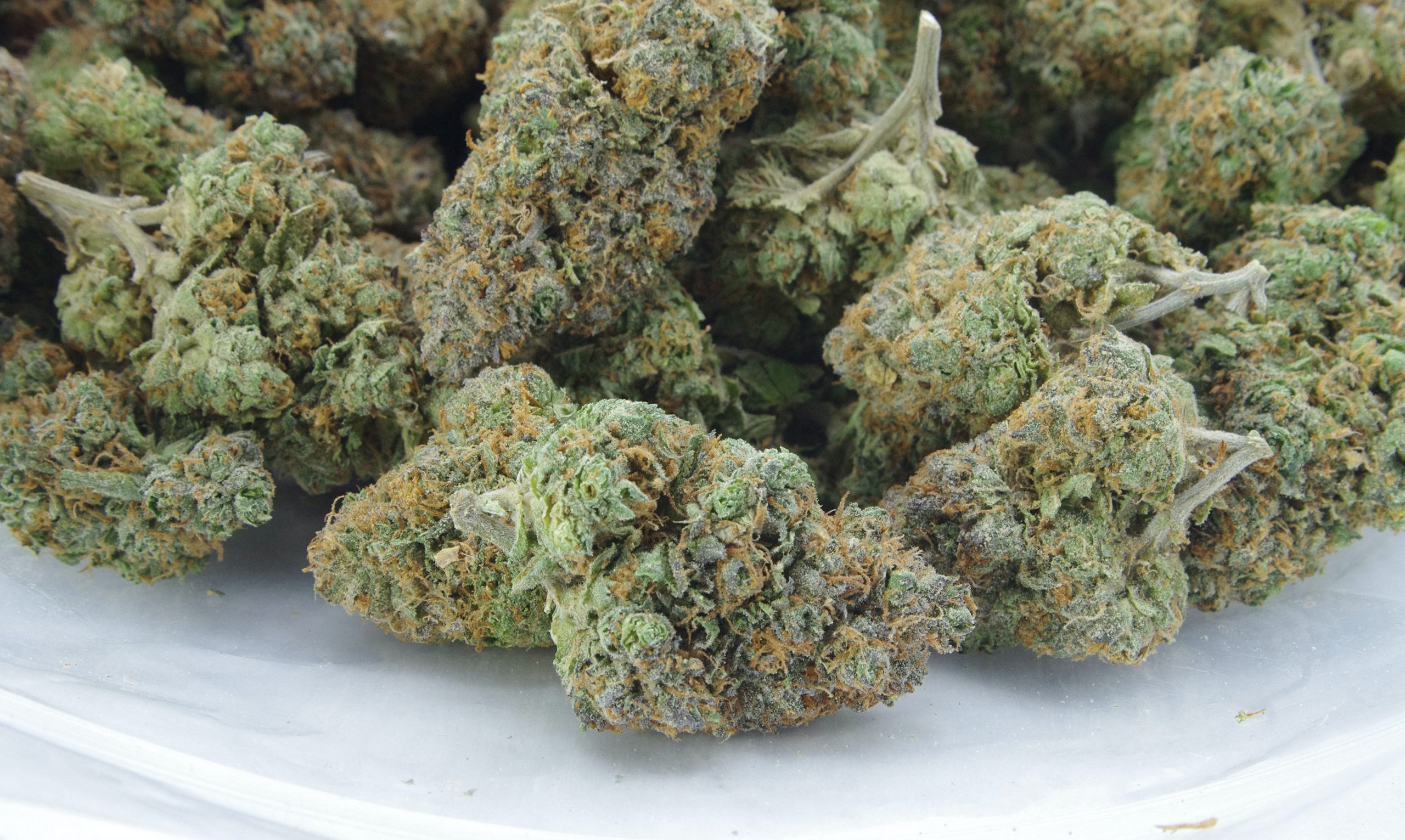 Chemdawg Oz Special Hybrid anti-anxiety Chemdawg Oz Special Hybrid anti-anxiety