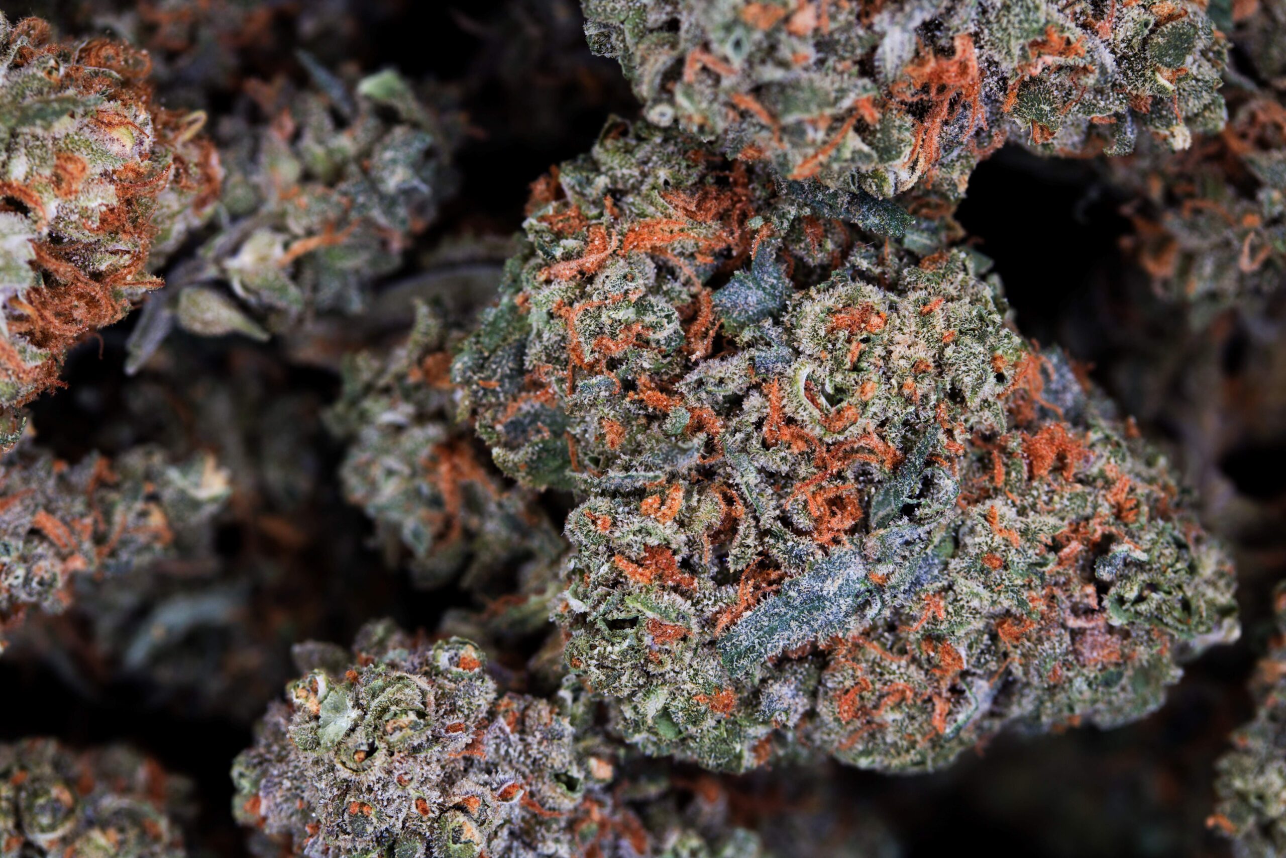 Cherry Garcia Sativa anxiety Cherry Garcia Sativa anxiety