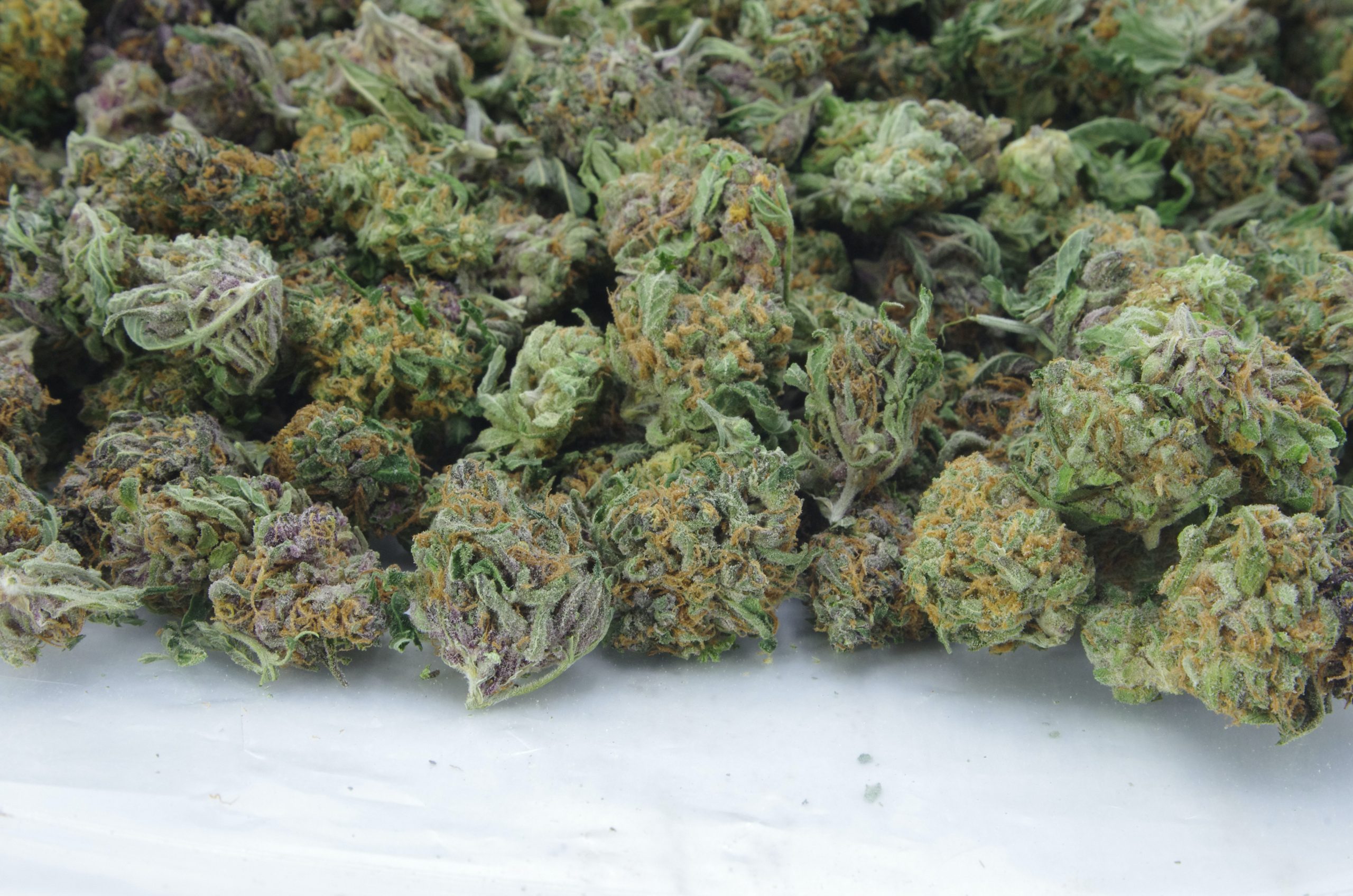 Cherry OG Smalls Oz Special Hybrid anti-anxiety Cherry OG Smalls Oz Special Hybrid anti-anxiety