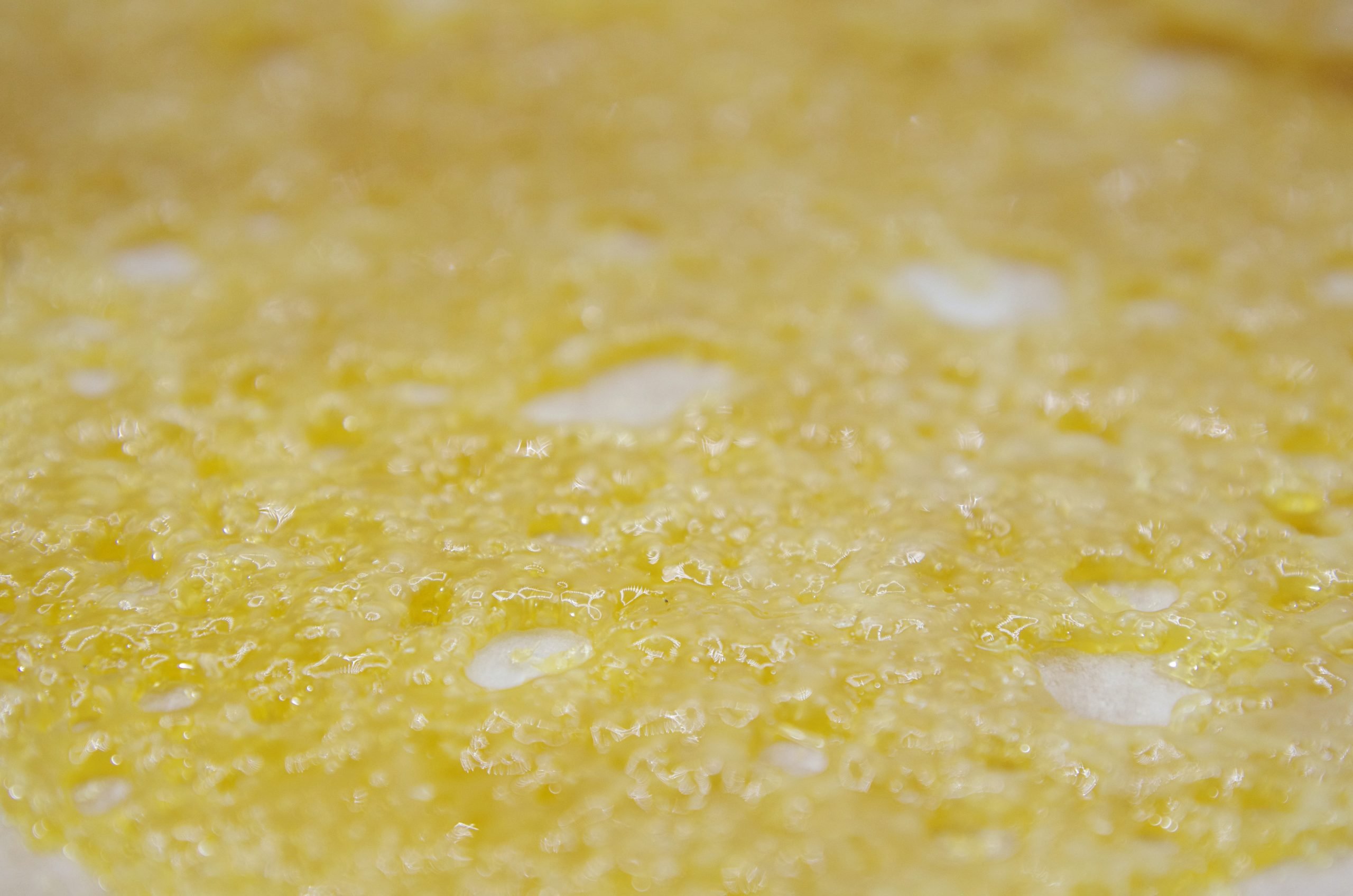 Congo Shatter Shatter Congo Shatter Shatter