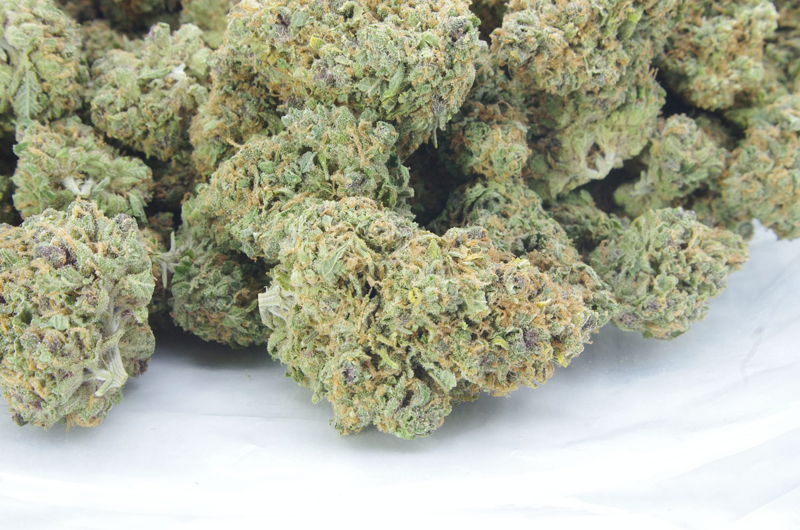 Cotton Candy (Oz Special) Hybrid anti-anxiety Cotton Candy (Oz Special) Hybrid anti-anxiety