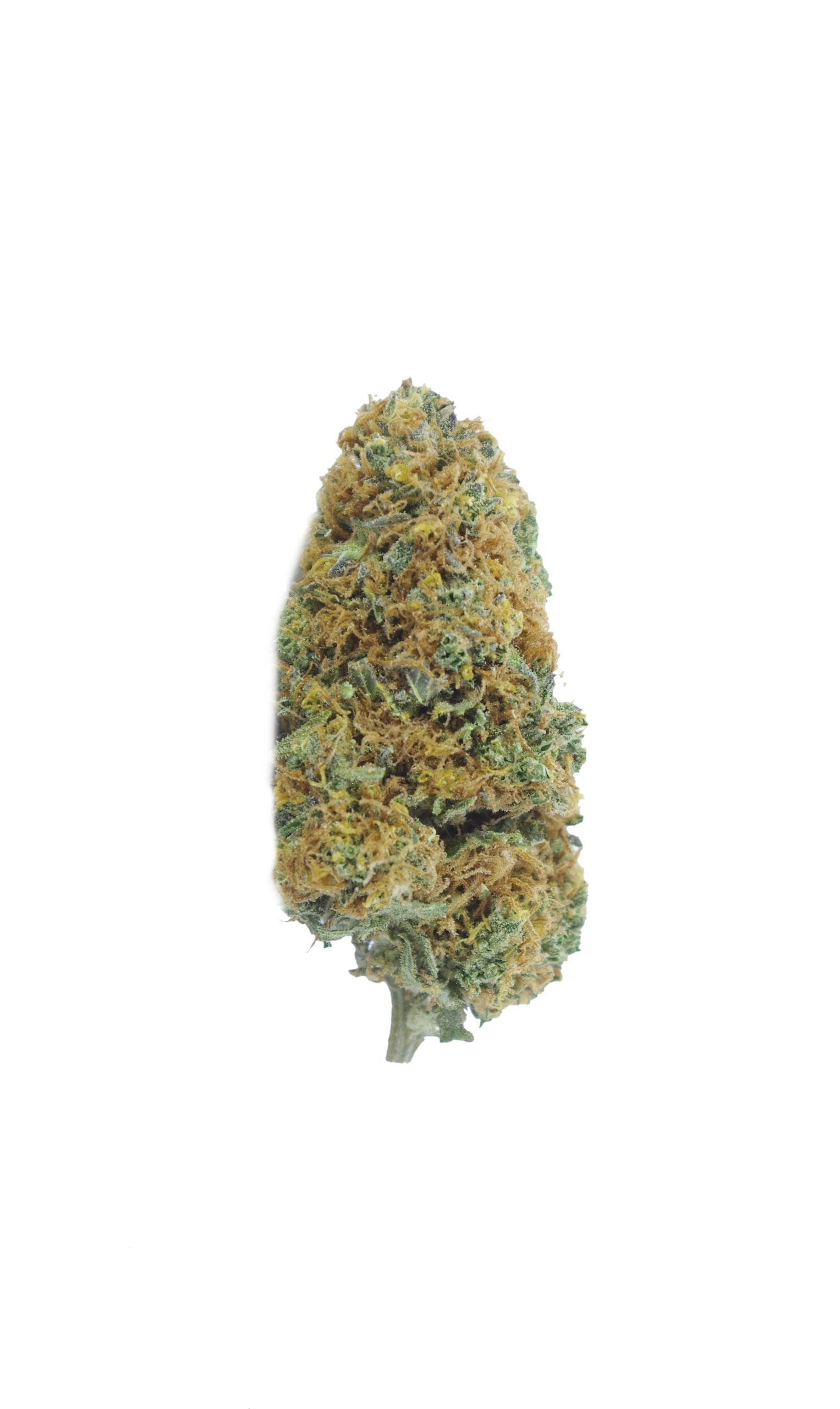 Critical Cheese Grams Indica Critical Cheese Grams Indica