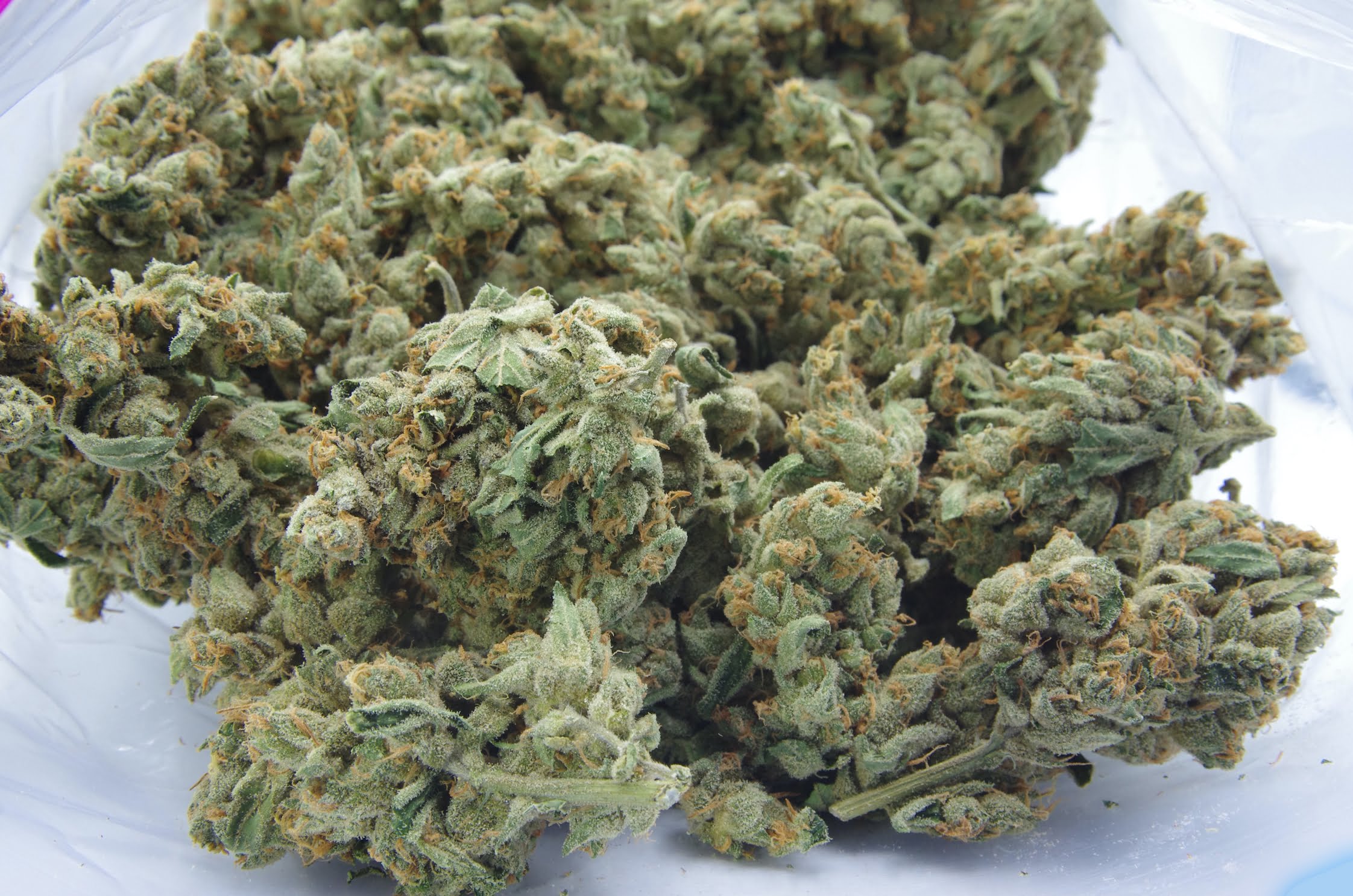 Dream Cake (Oz Special) Hybrid anti-anxiety Dream Cake (Oz Special) Hybrid anti-anxiety