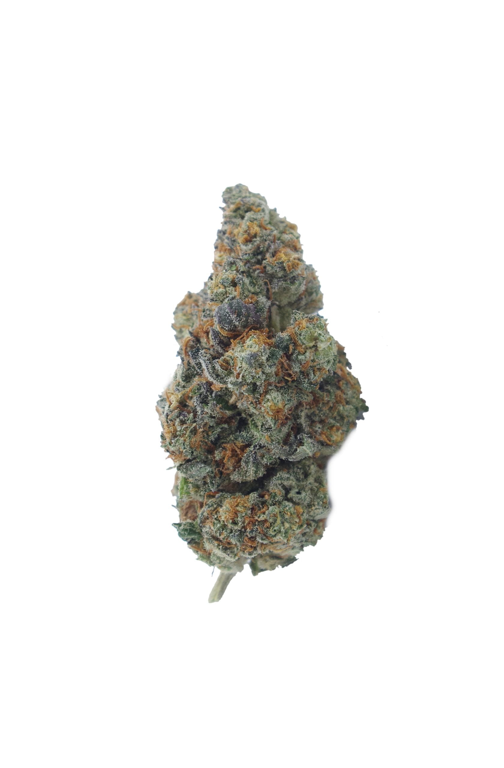Garlic Cane (Oz Special) Hybrid anti-anxiety Garlic Cane (Oz Special) Hybrid anti-anxiety