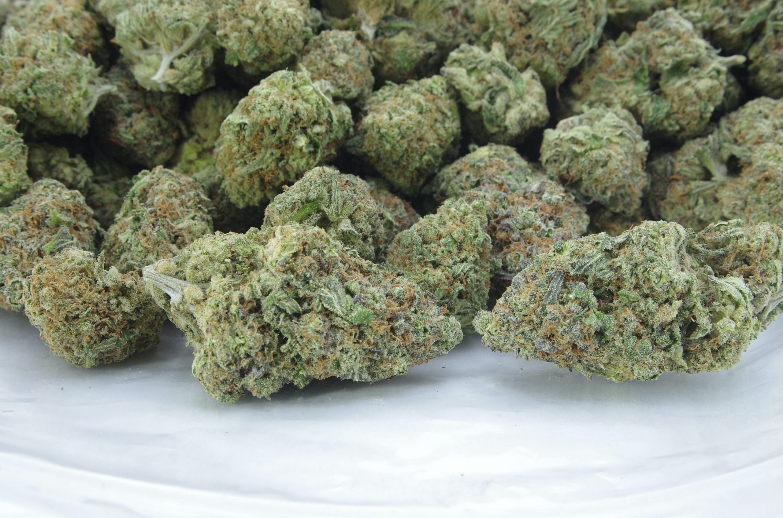 Golden Pineapple (Oz Special) Hybrid anti-anxiety Golden Pineapple (Oz Special) Hybrid anti-anxiety