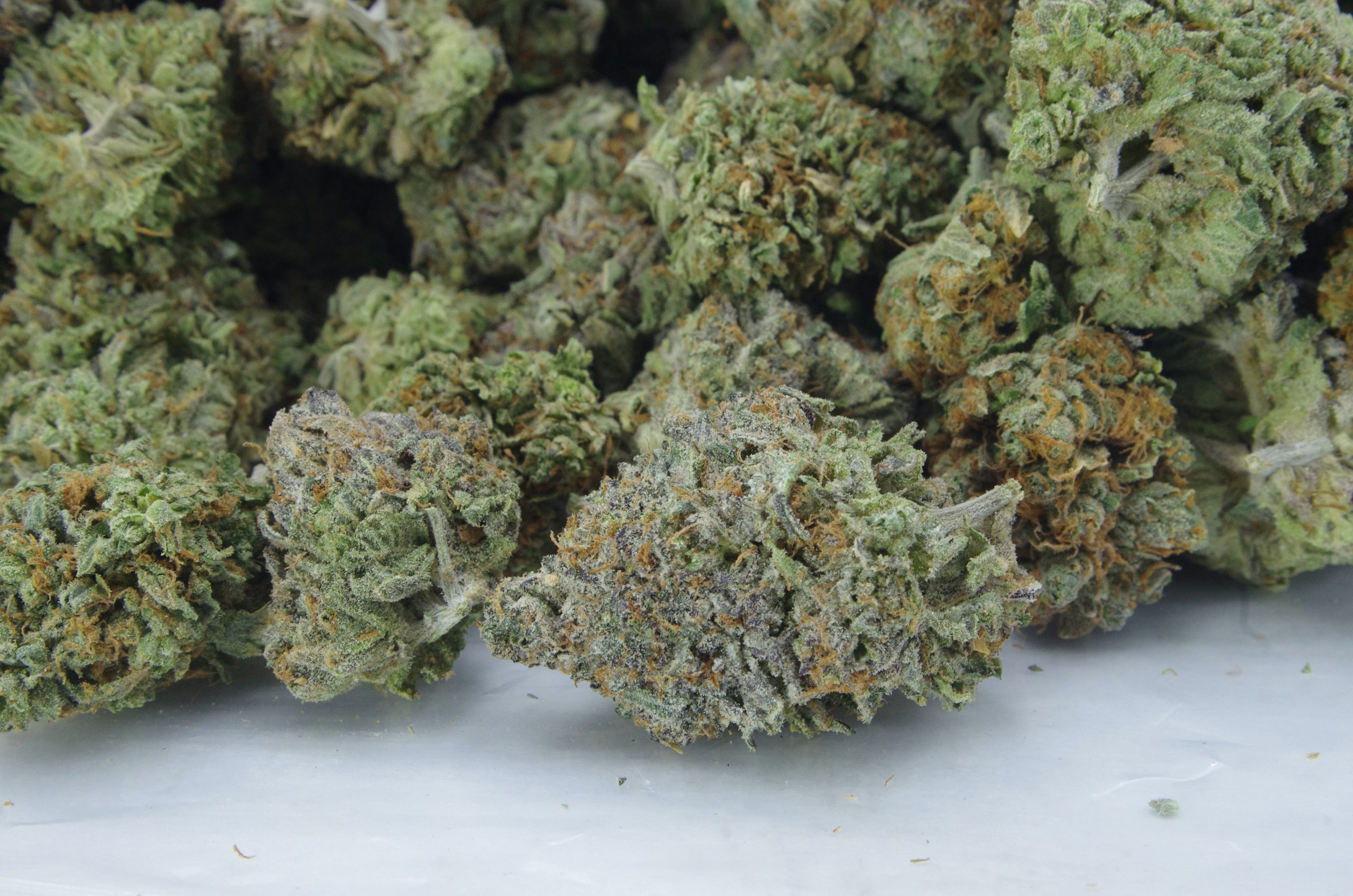 Grape Gas Oz Special Hybrid anti-anxiety Grape Gas Oz Special Hybrid anti-anxiety