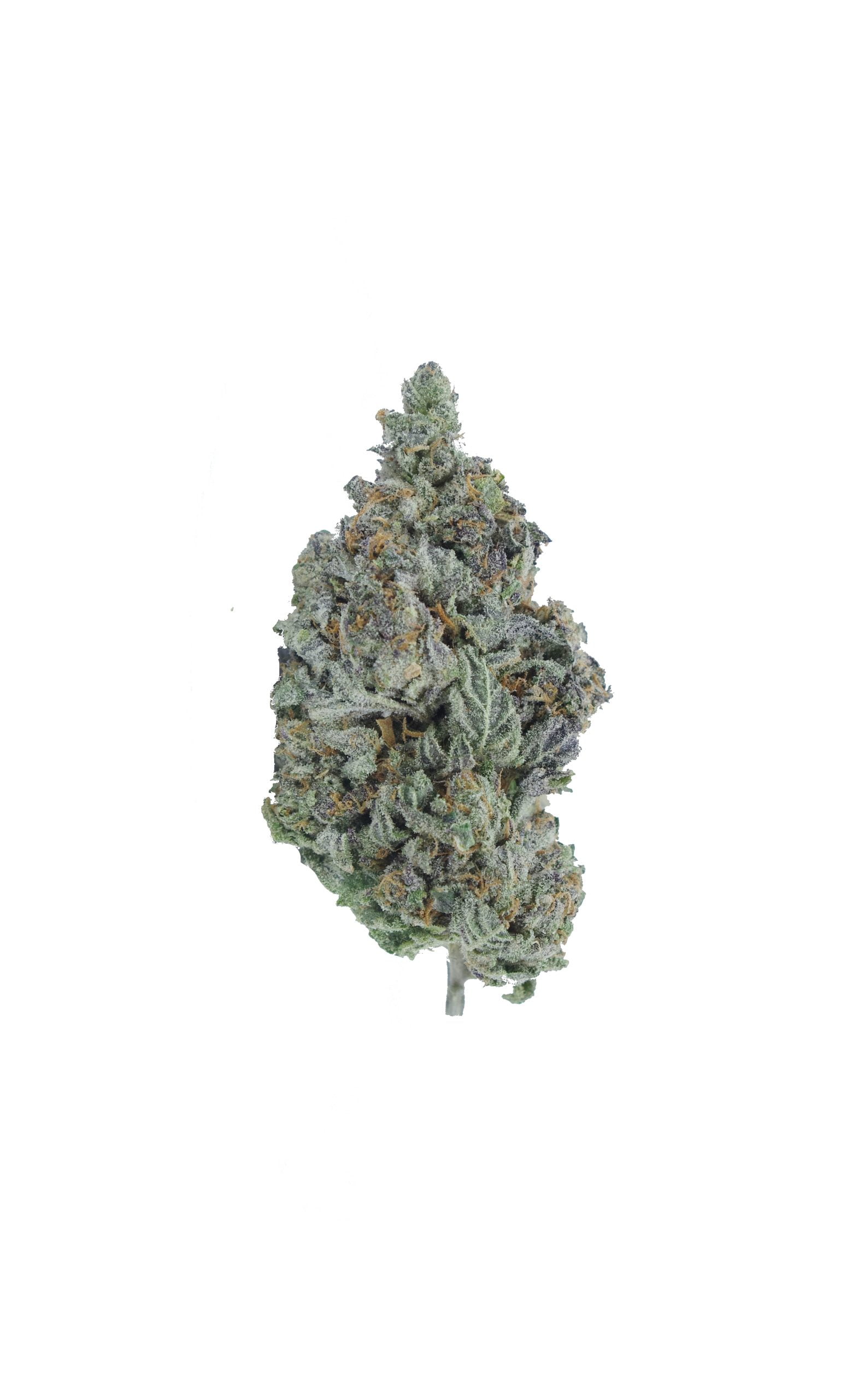 Grape Gas Oz Special Hybrid anti-anxiety Grape Gas Oz Special Hybrid anti-anxiety