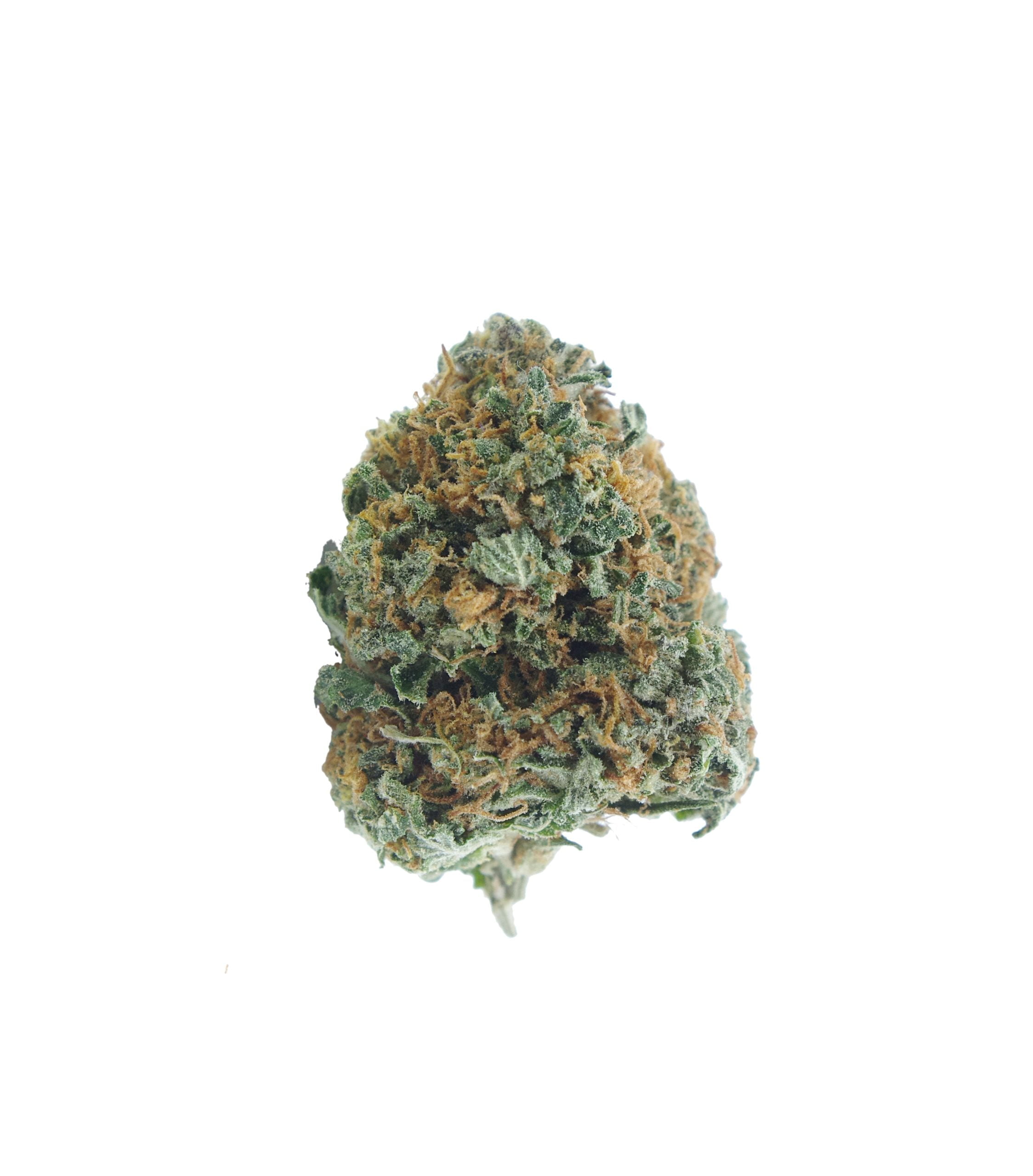 Grease Monky Oz Special Hybrid anti-anxiety Grease Monky Oz Special Hybrid anti-anxiety