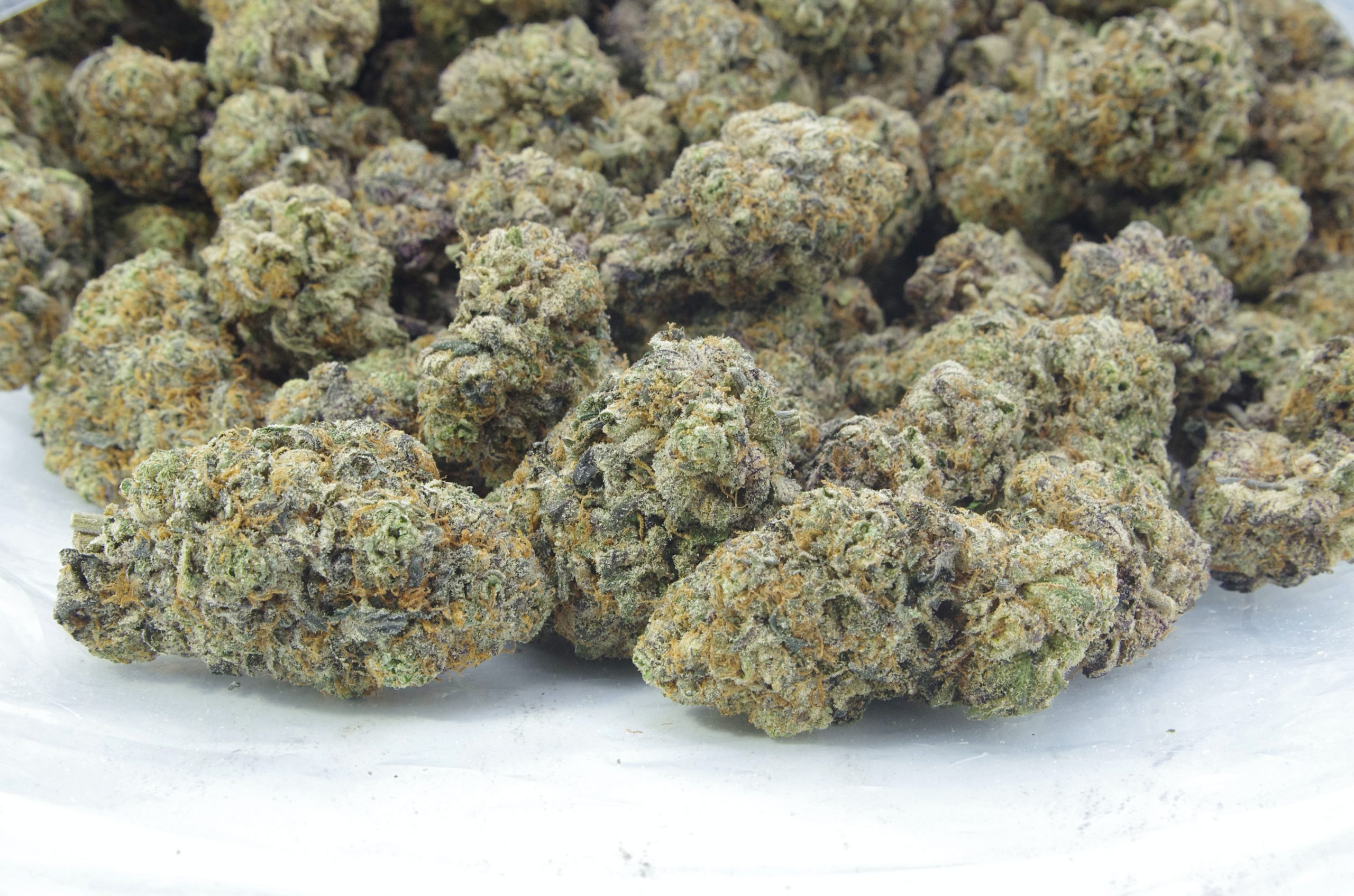 Gusher Cookies (Oz Special) Hybrid anti-anxiety Gusher Cookies (Oz Special) Hybrid anti-anxiety