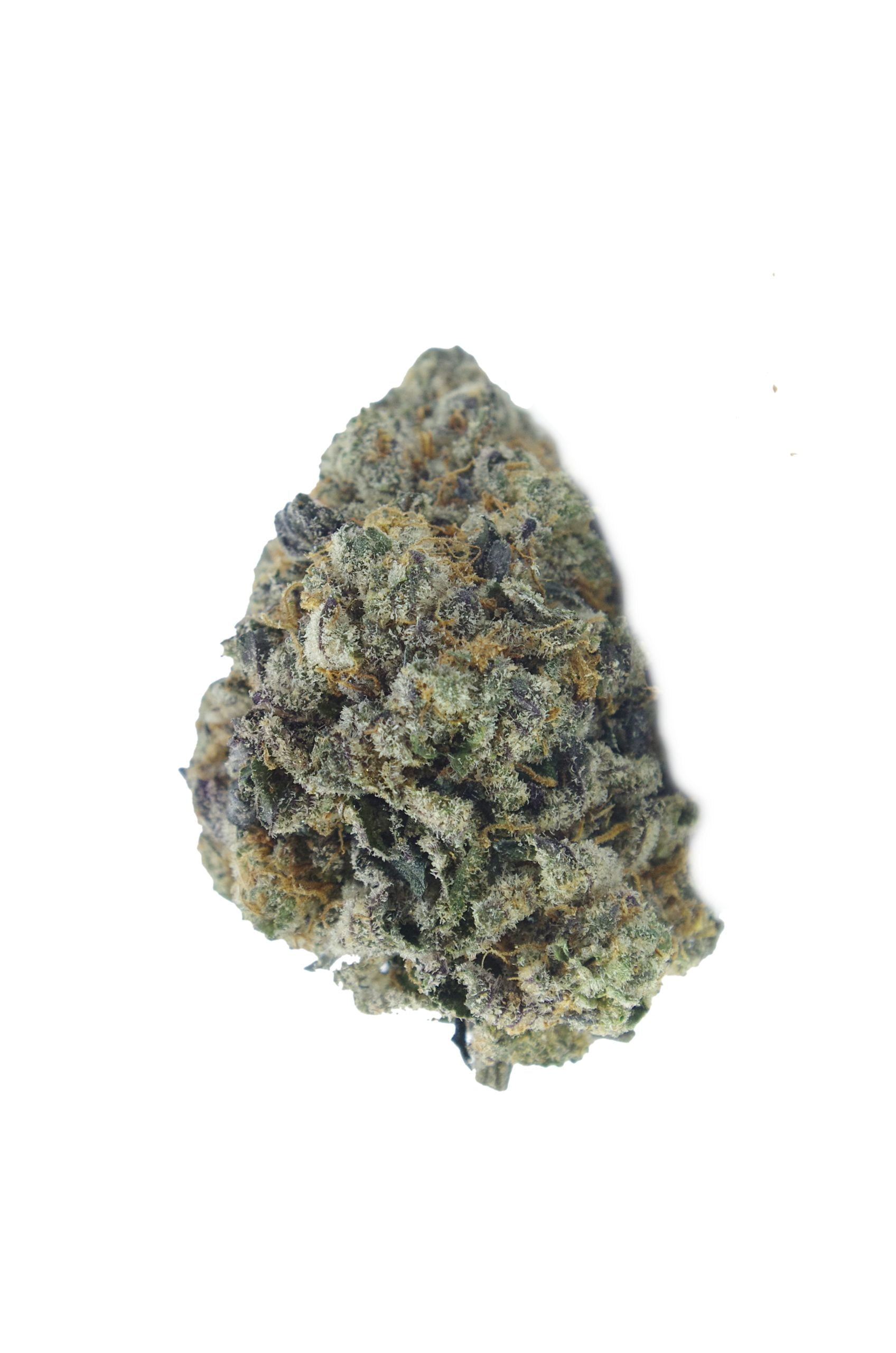 Gusher Cookies (Oz Special) Hybrid anti-anxiety Gusher Cookies (Oz Special) Hybrid anti-anxiety