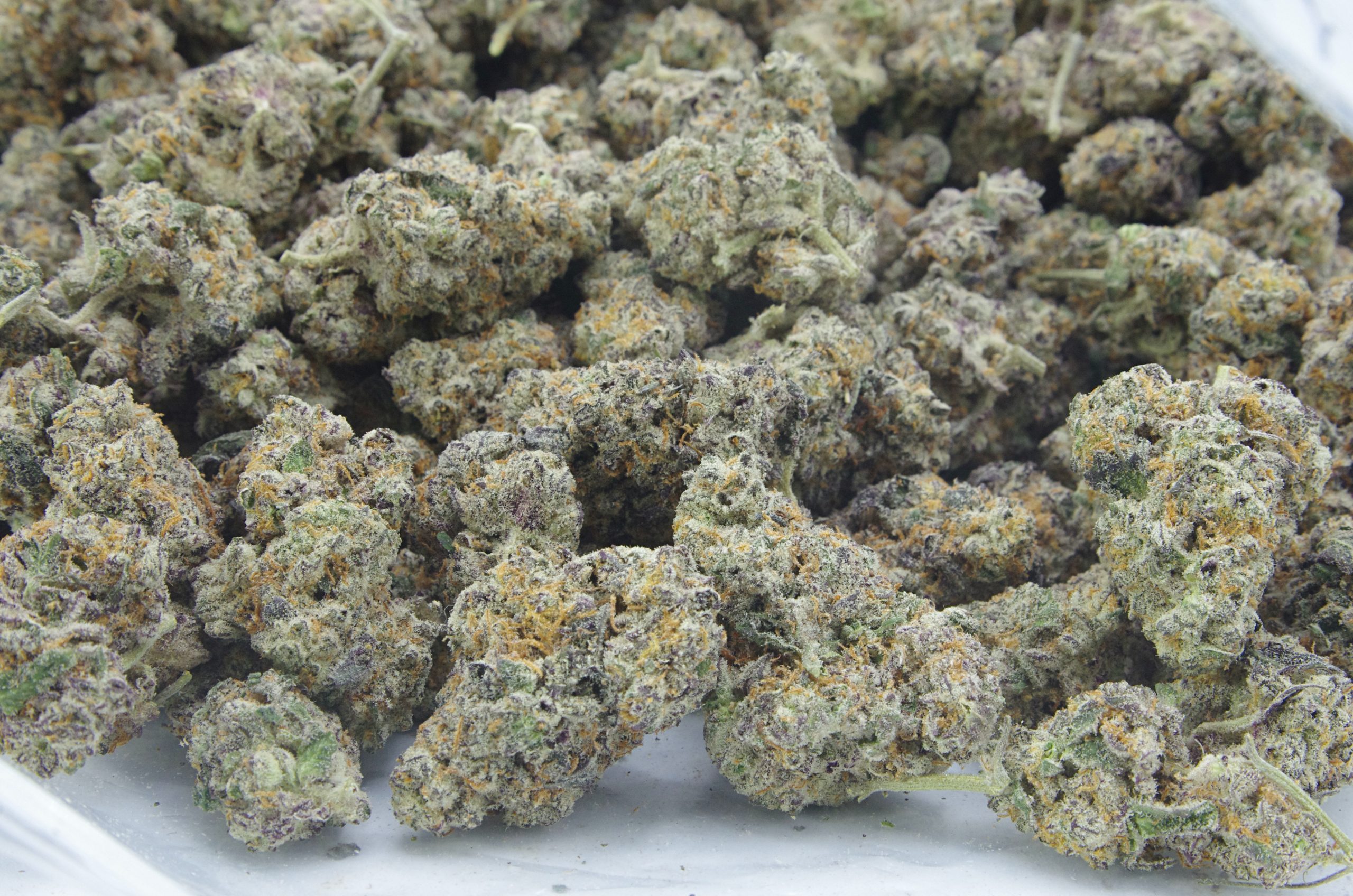 Ice Wine Oz Special Hybrid anti-anxiety Ice Wine Oz Special Hybrid anti-anxiety