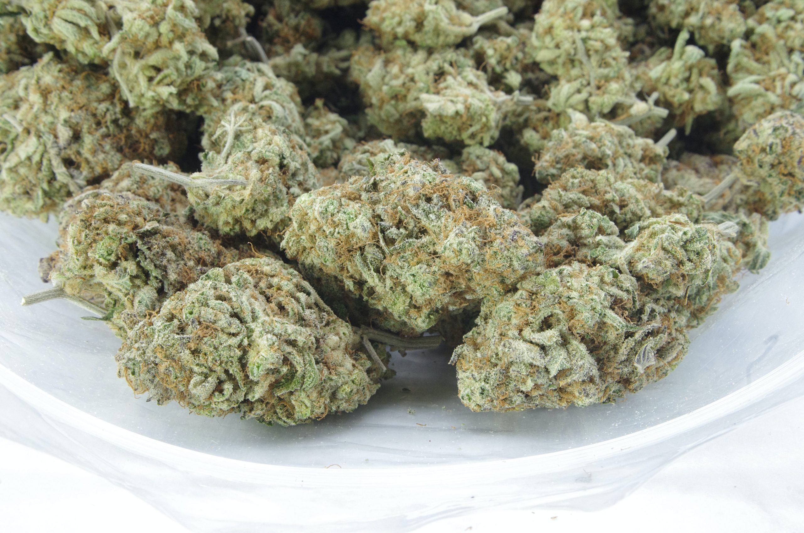Ice Wreck Oz Special Hybrid anti-anxiety Ice Wreck Oz Special Hybrid anti-anxiety