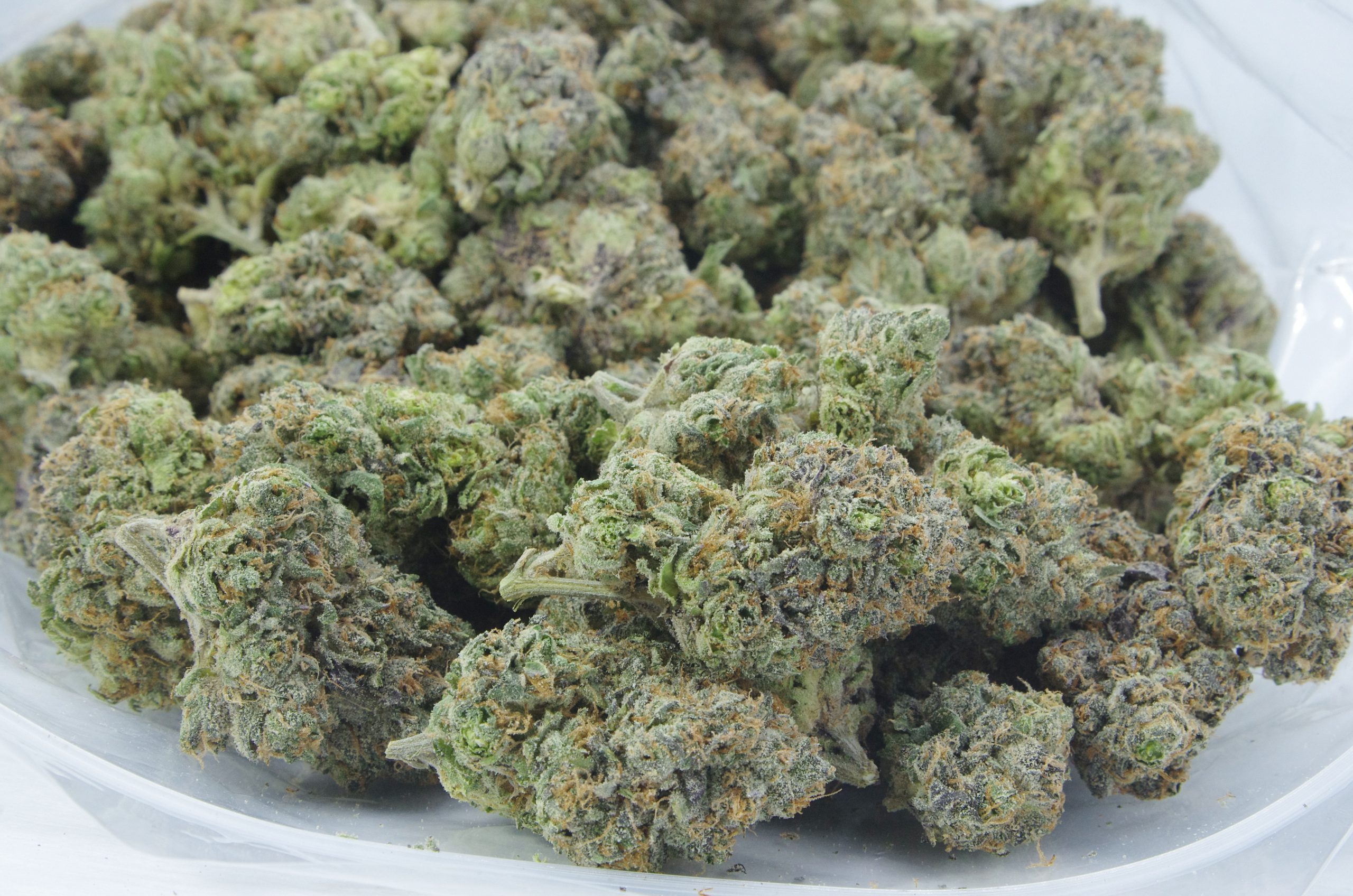 Jet Fuel Oz Special Hybrid anti-anxiety Jet Fuel Oz Special Hybrid anti-anxiety