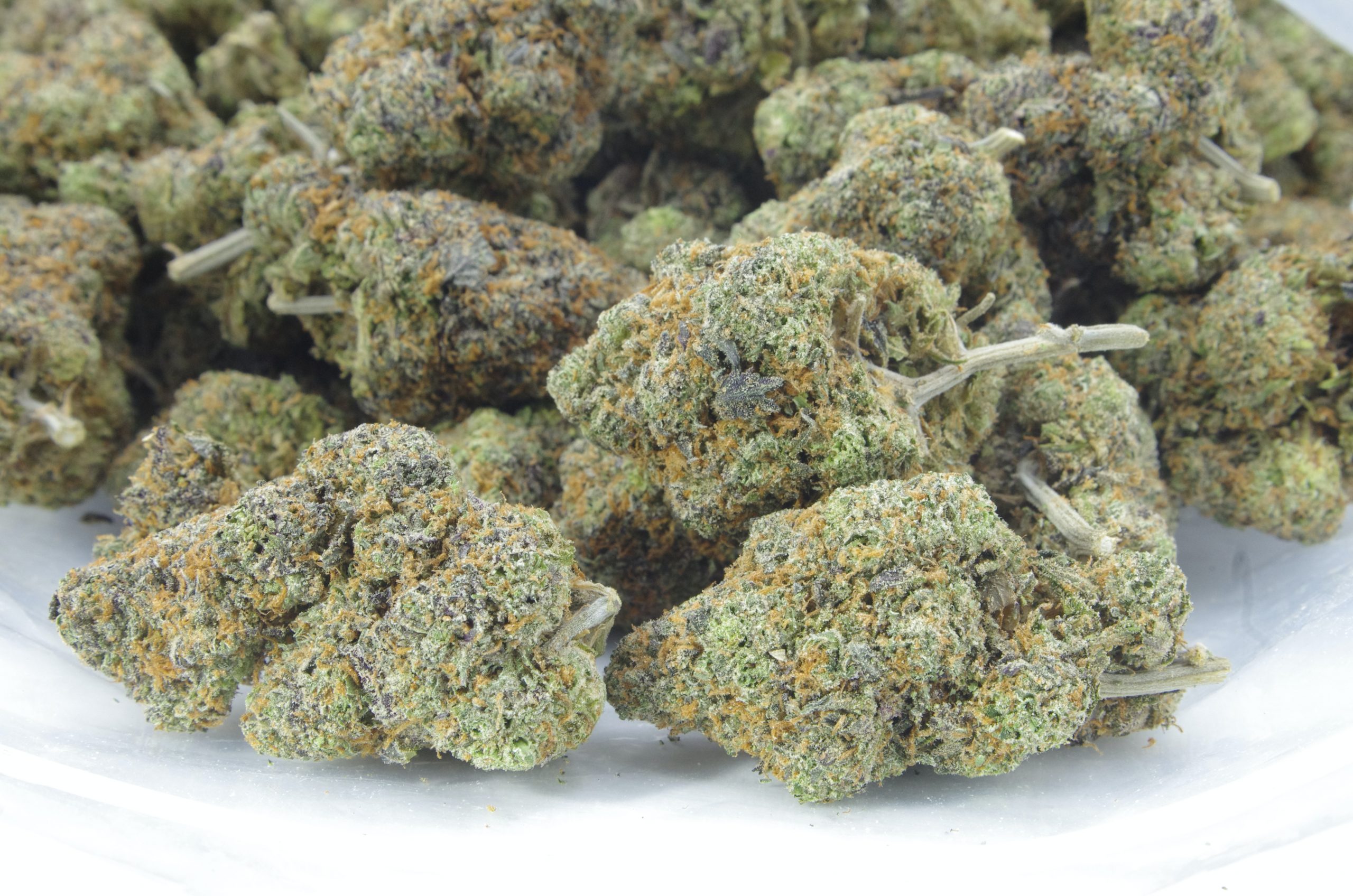 Larry Bird Breath (Oz Special) Hybrid anti-anxiety Larry Bird Breath (Oz Special) Hybrid anti-anxiety