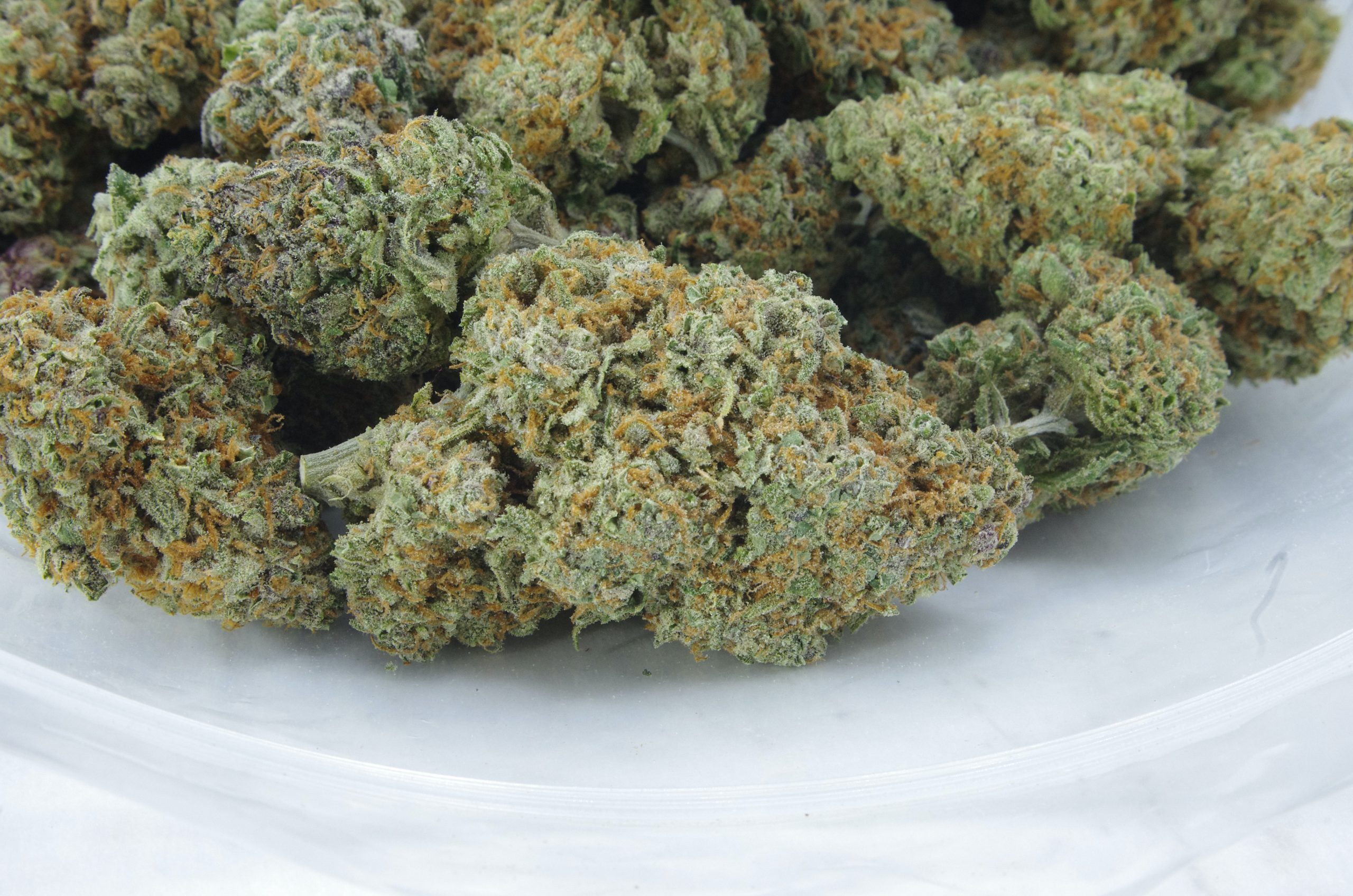 Laughing Buddha Oz Special Sativa anti-anxiety Laughing Buddha Oz Special Sativa anti-anxiety