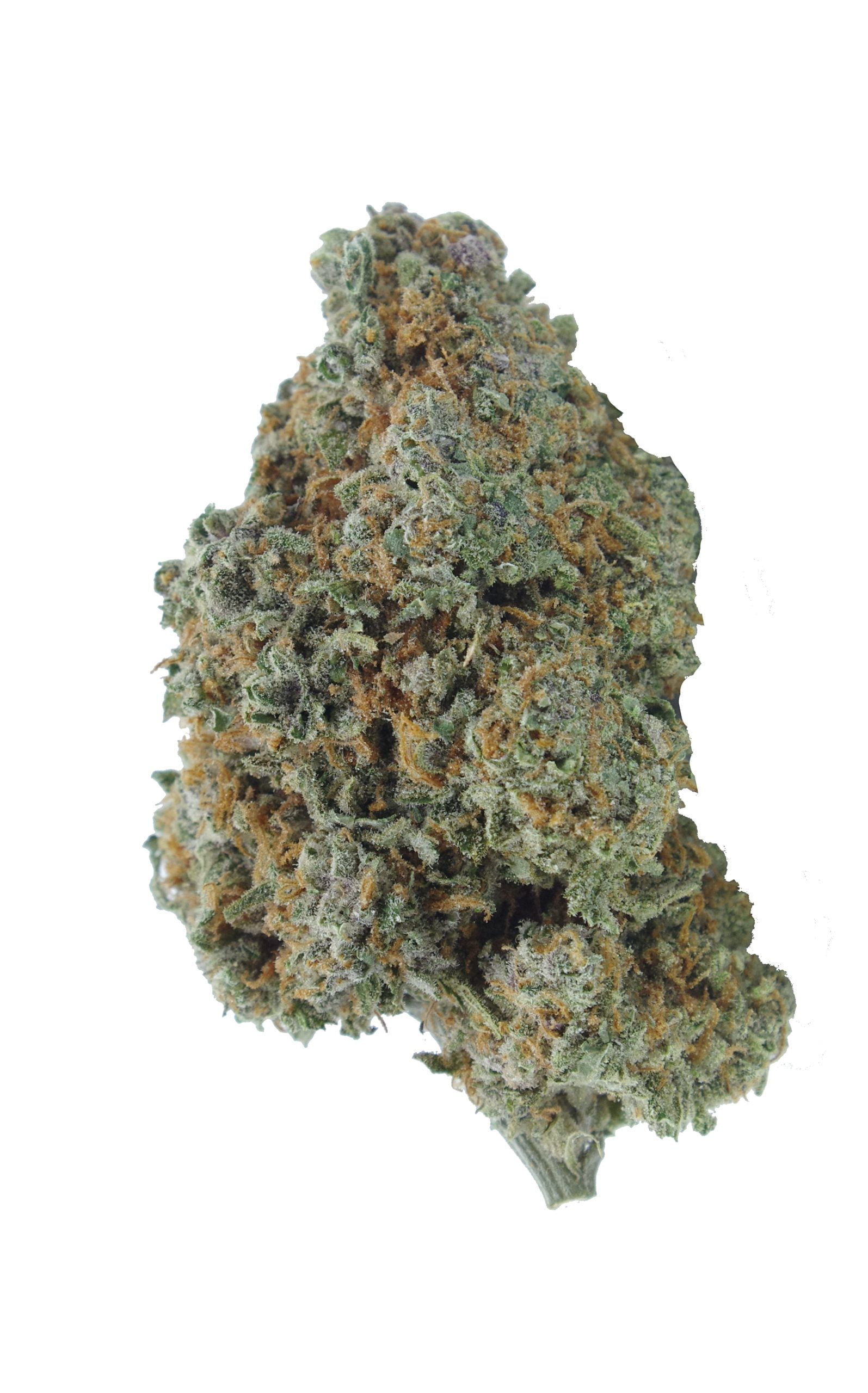 Laughing Buddha Oz Special Sativa anti-anxiety Laughing Buddha Oz Special Sativa anti-anxiety