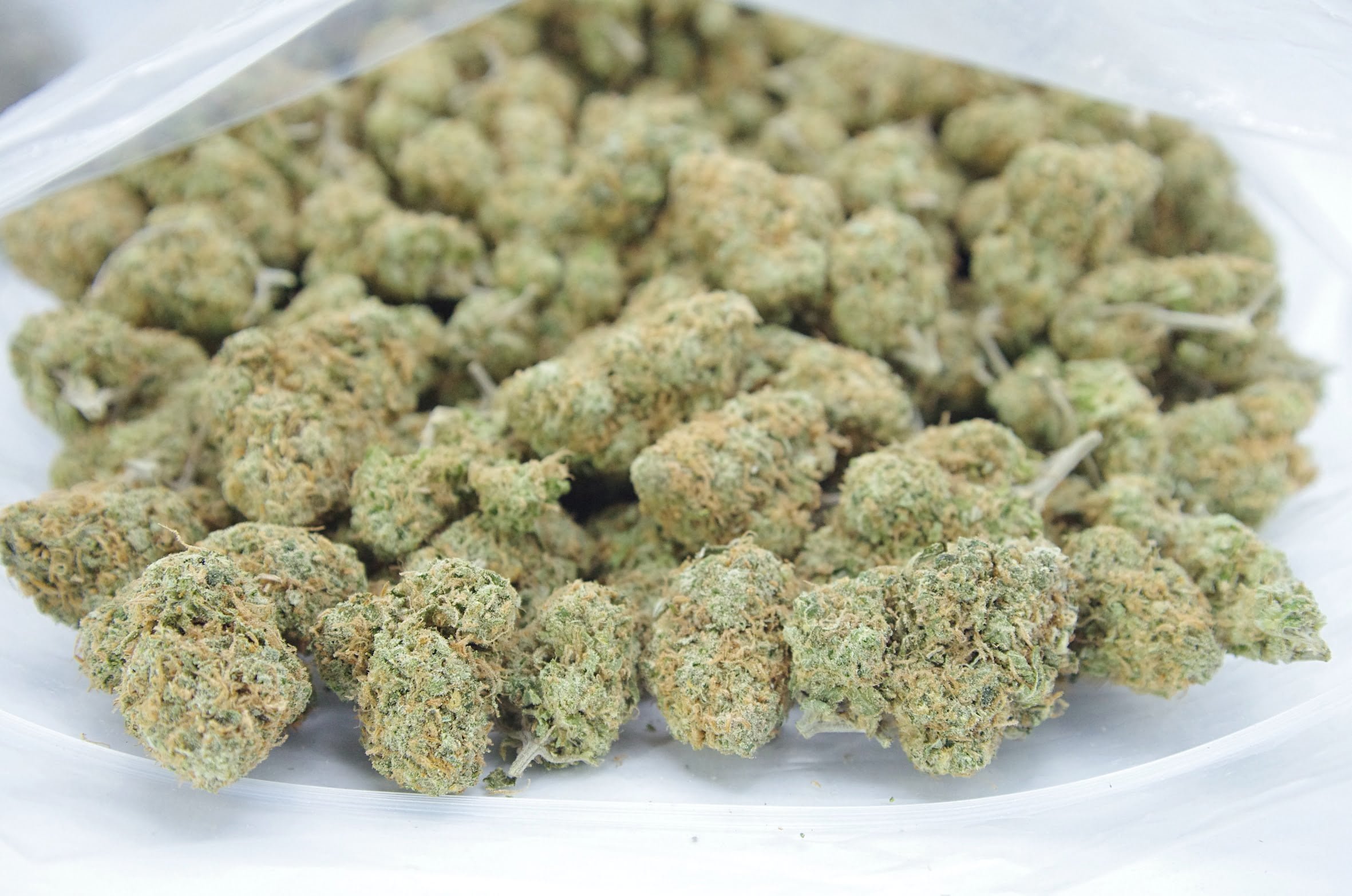 Lemon OG Oz Special Hybrid anti-anxiety Lemon OG Oz Special Hybrid anti-anxiety