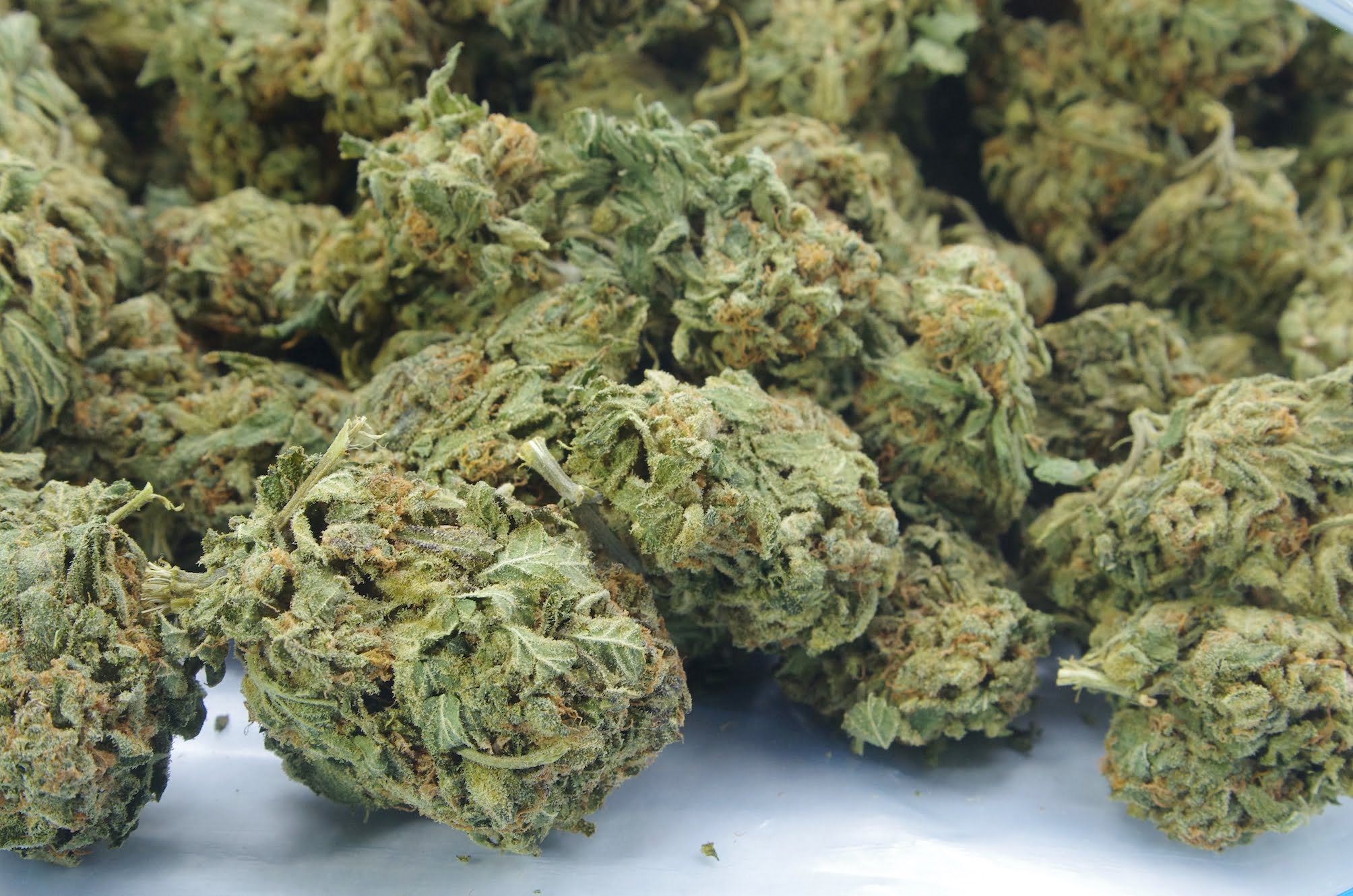 Lemon Diesel Oz Special Hybrid anti-anxiety Lemon Diesel Oz Special Hybrid anti-anxiety