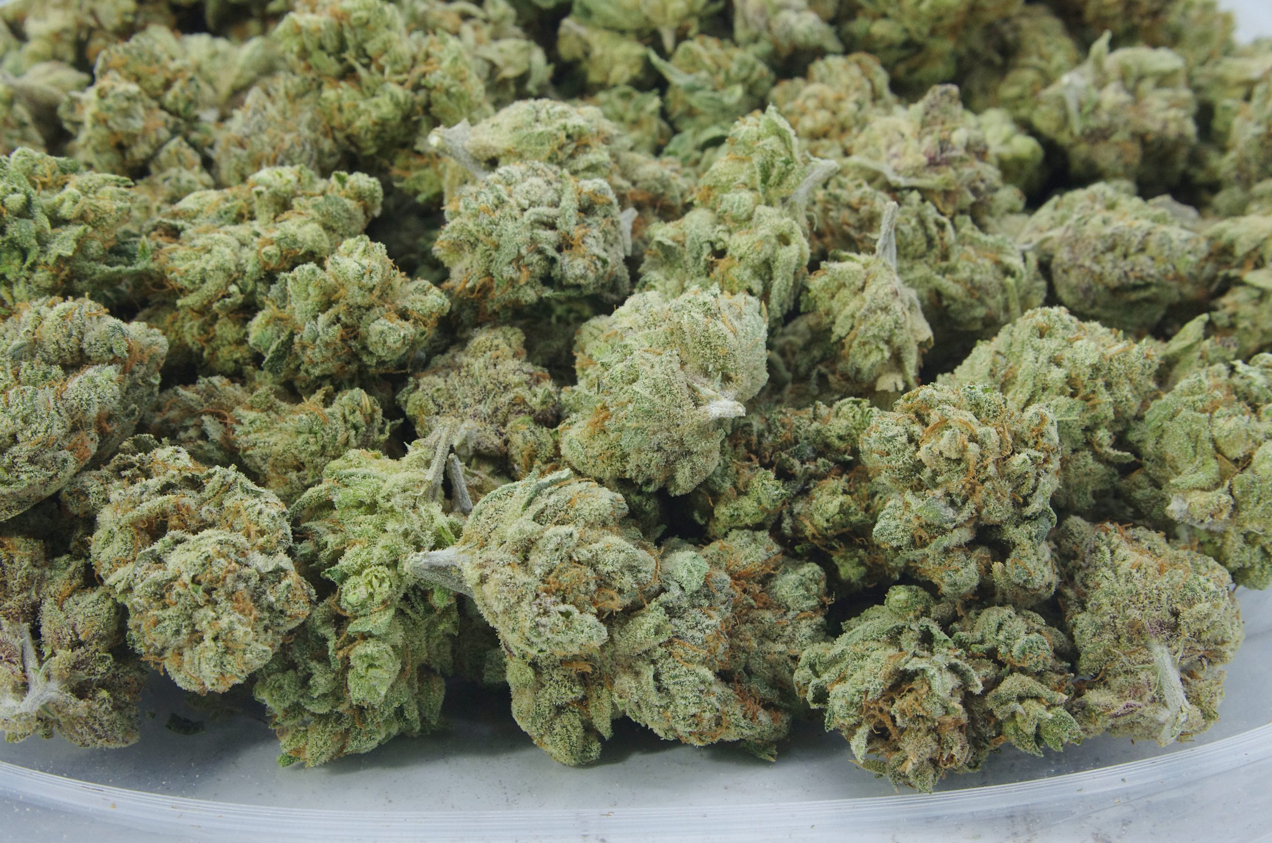 Lemon Runtz (Oz Special) Hybrid anti-anxiety Lemon Runtz (Oz Special) Hybrid anti-anxiety