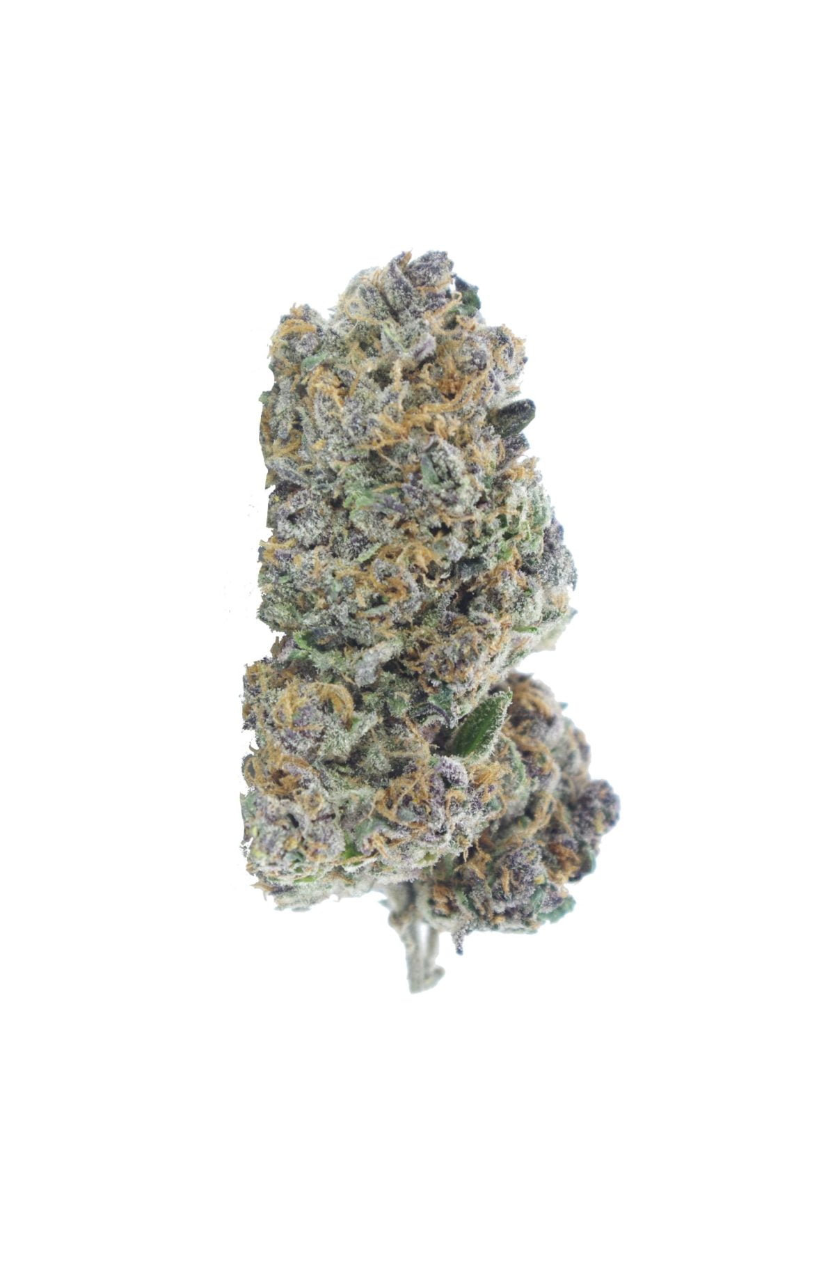 Mendocino Purps (Oz Special) Hybrid anti-anxiety Mendocino Purps (Oz Special) Hybrid anti-anxiety
