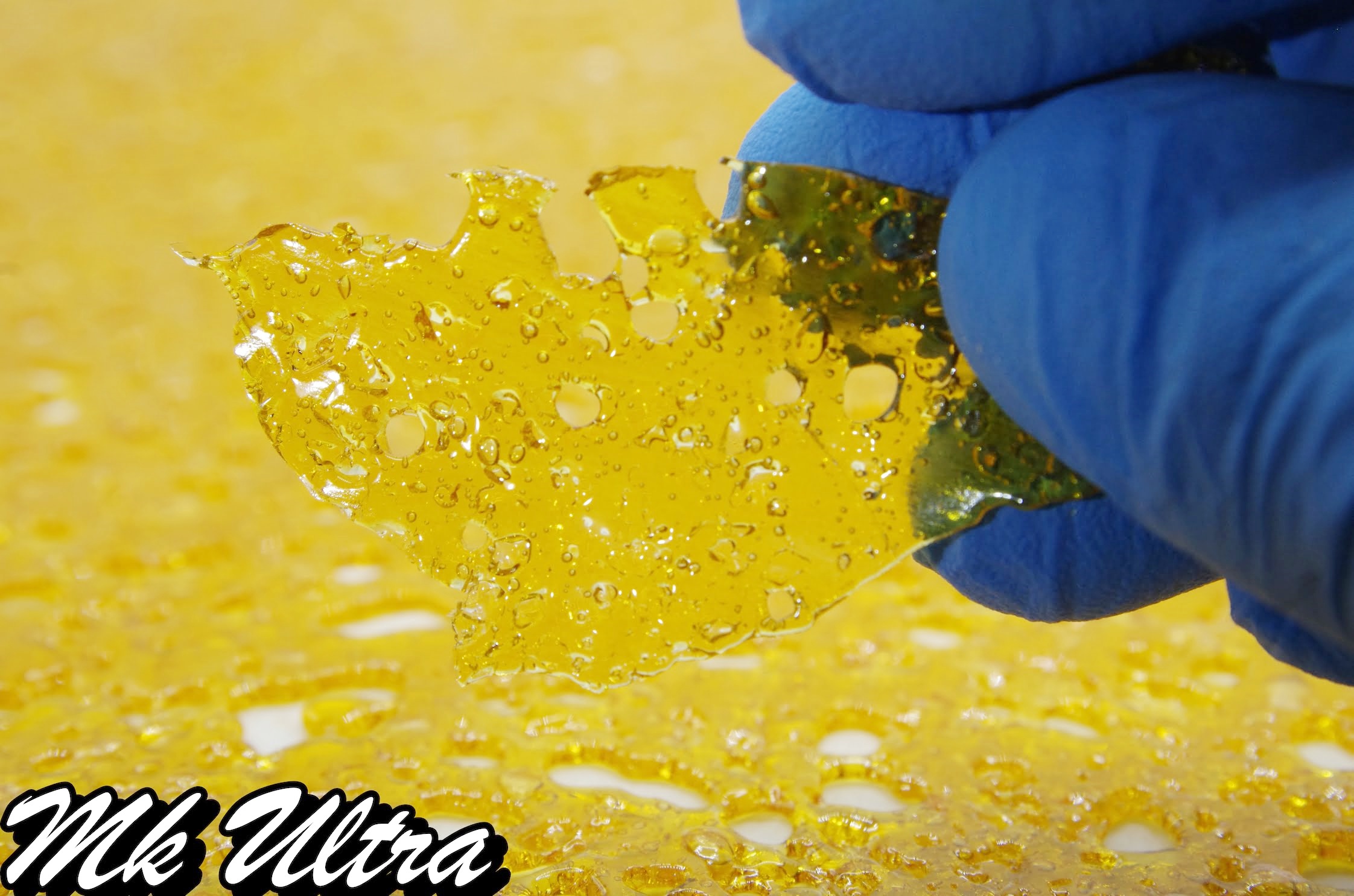 Terpstar Shatter – MKU Concentrates Terpstar Shatter – MKU Concentrates