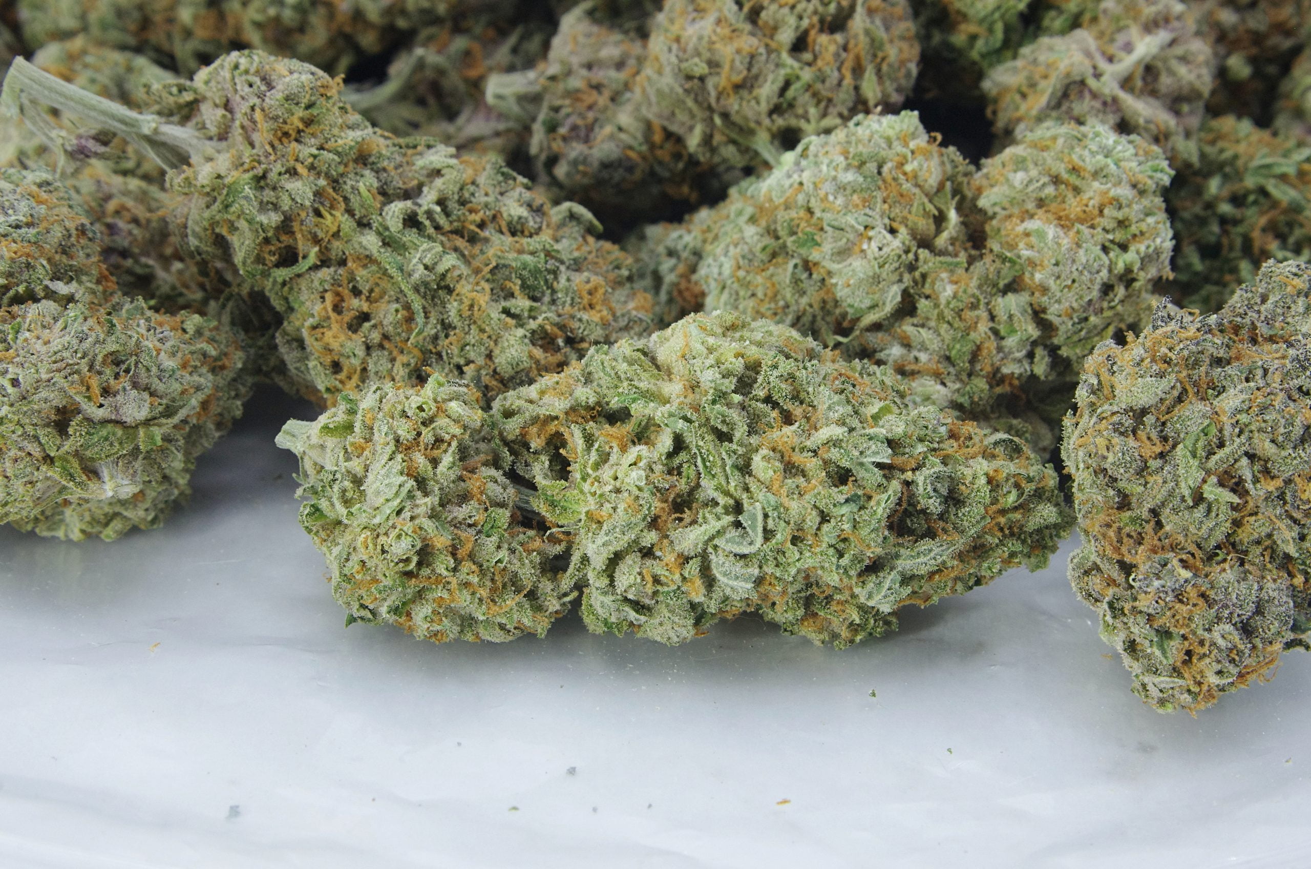 OG Cheese (Oz Special) Hybrid anti-anxiety OG Cheese (Oz Special) Hybrid anti-anxiety
