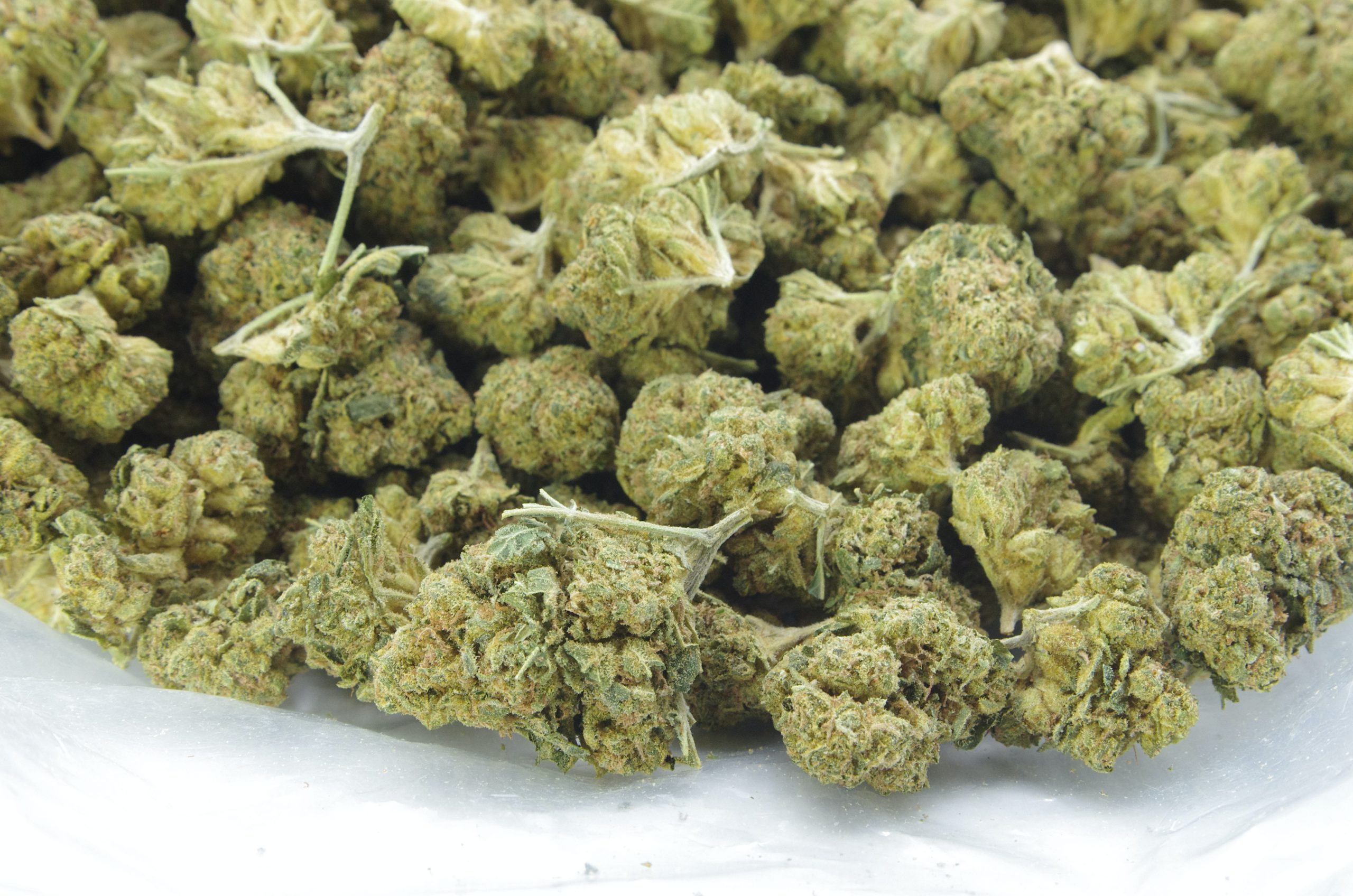 Pineapple Kush Smalls (Oz Special) Indica anti-anxiety Pineapple Kush Smalls (Oz Special) Indica anti-anxiety