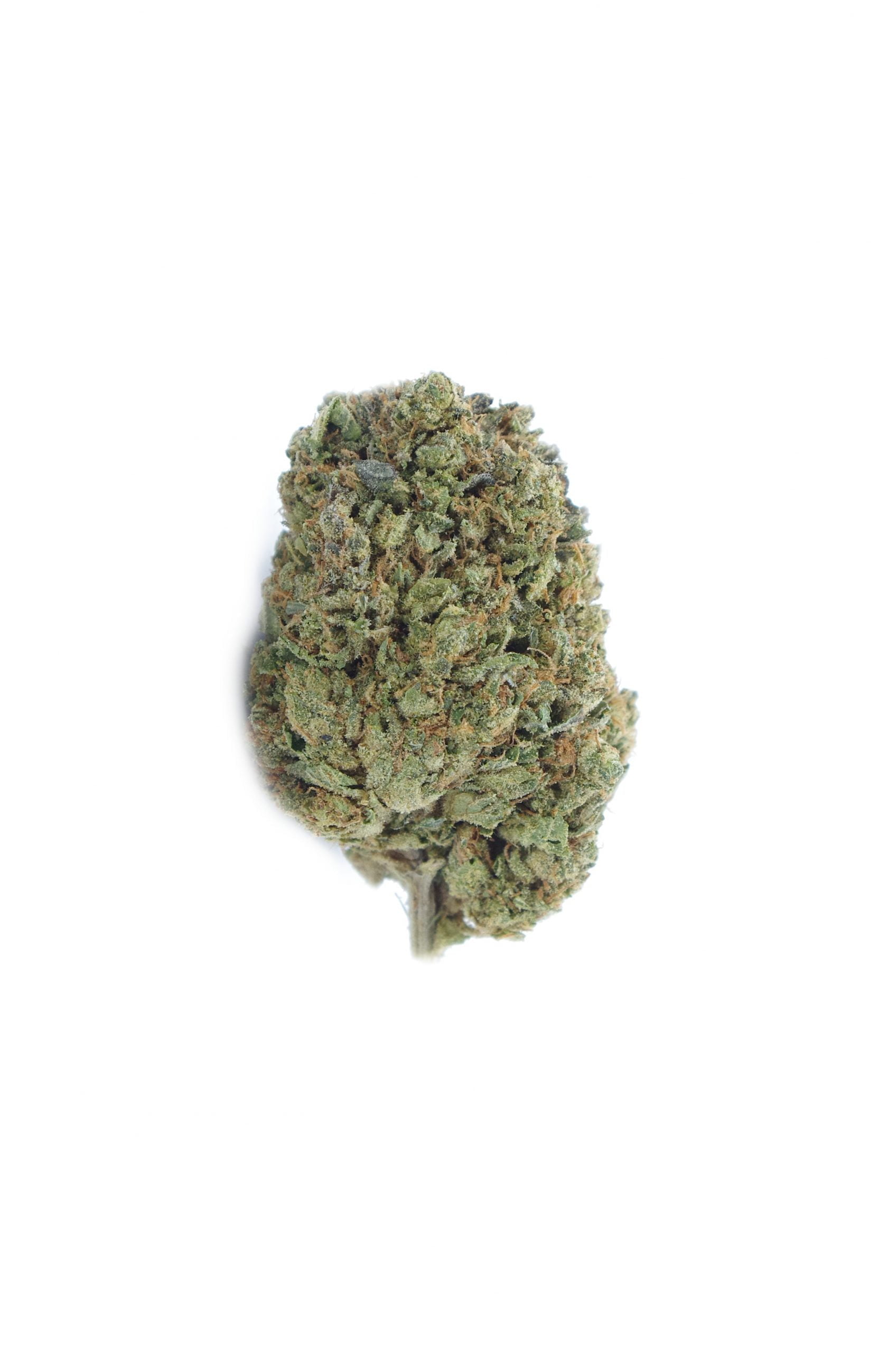 Pink OG (Oz Special) Indica anti-anxiety Pink OG (Oz Special) Indica anti-anxiety