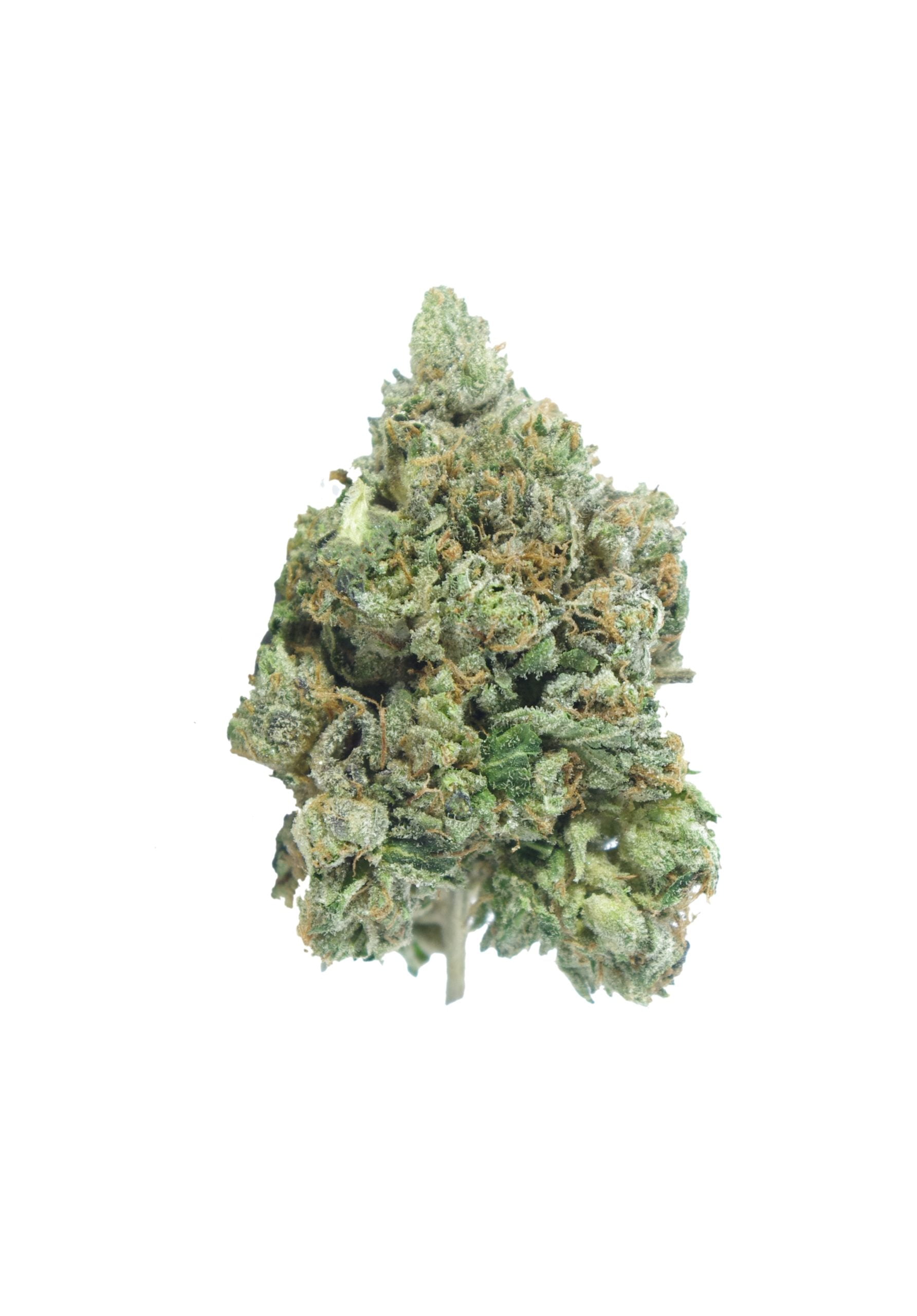 Pink Shark Oz Special Indica anti-anxiety Pink Shark Oz Special Indica anti-anxiety
