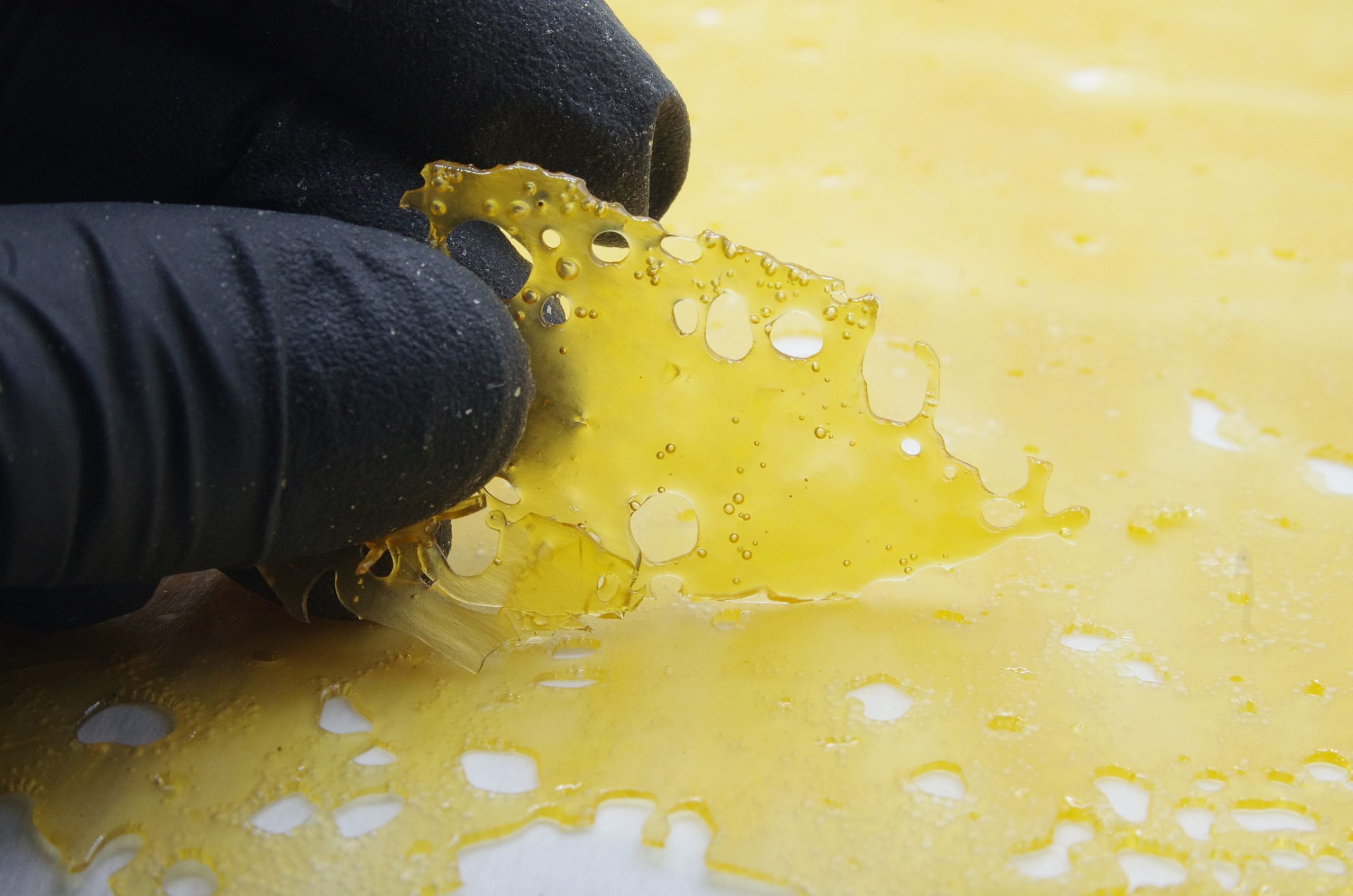 Platinum Blackberry Shatter Concentrates Platinum Blackberry Shatter Concentrates