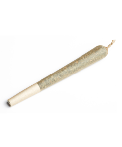 Purple Cookies Pre Rolls (Hybrid) Pre-Rolls Hybrid Pre Rolls