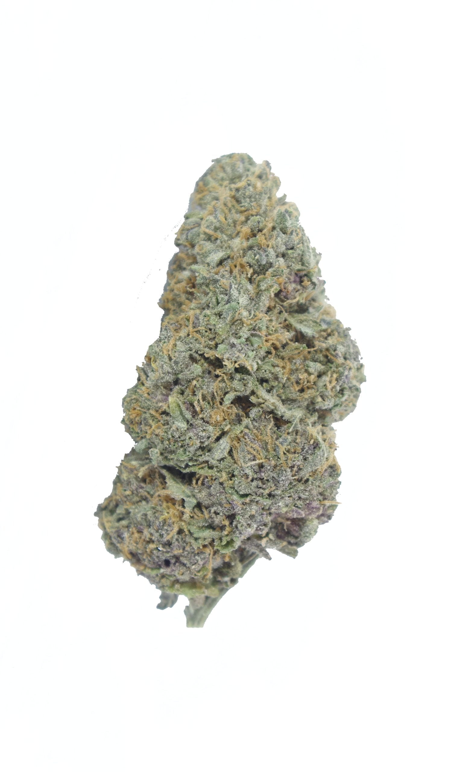 Purple Cheese (Oz Special) Hybrid anti-anxiety Purple Cheese (Oz Special) Hybrid anti-anxiety
