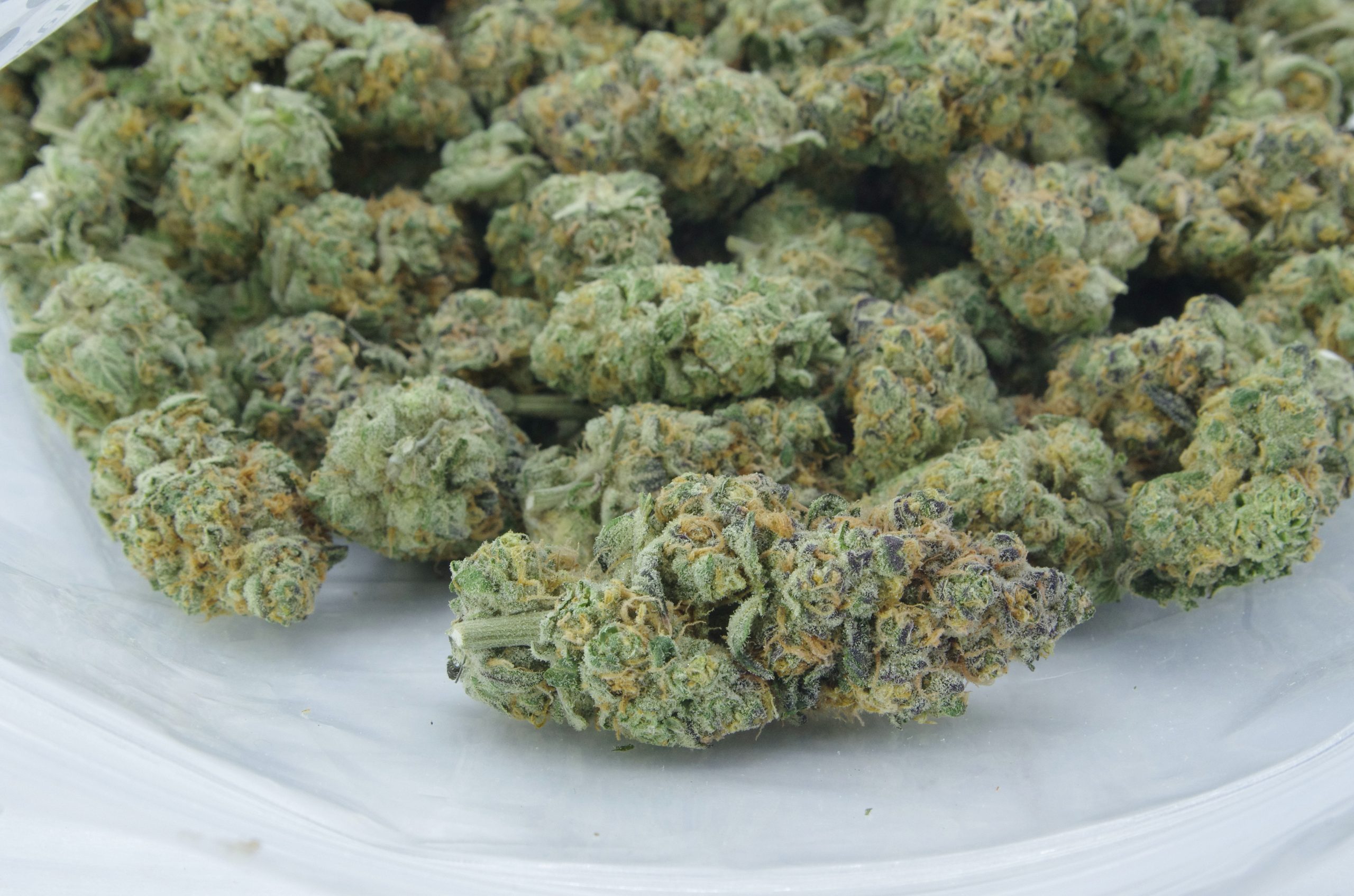 Purple Unicorn Oz Special Hybrid anti-anxiety Purple Unicorn Oz Special Hybrid anti-anxiety